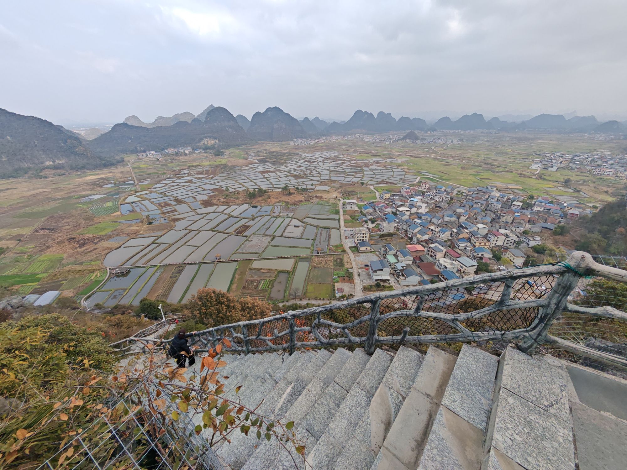 会仙玻璃田旅行图片 2