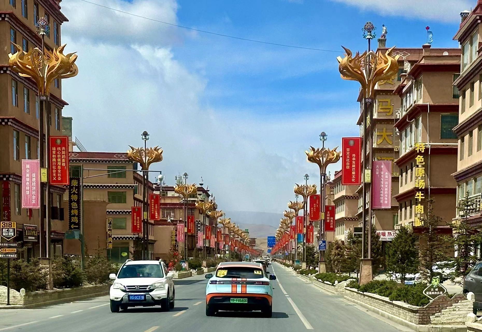 理塘西城门旅行图片 1