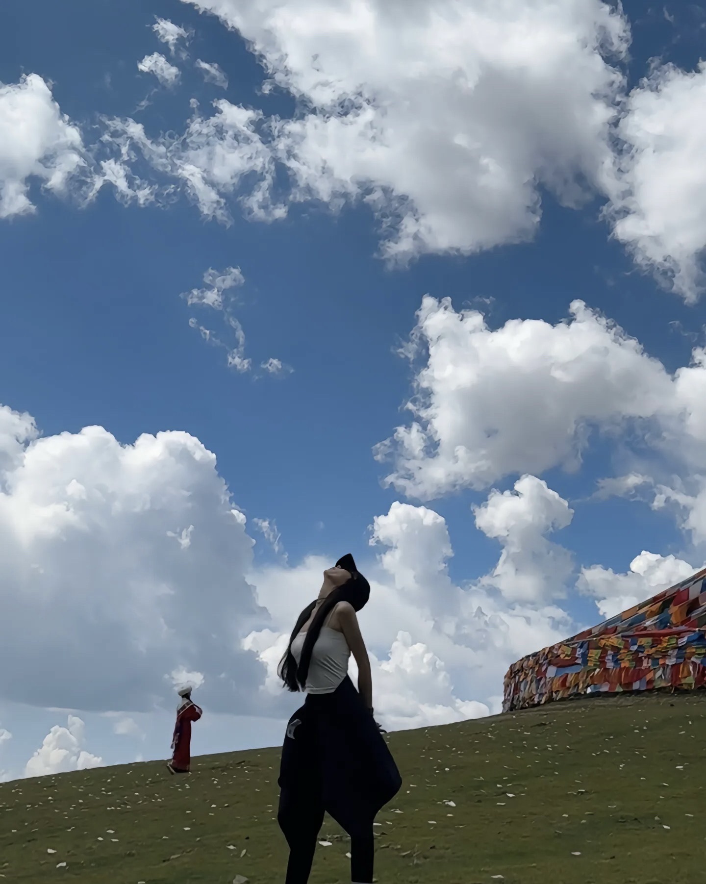 理塘西城门旅行图片 2