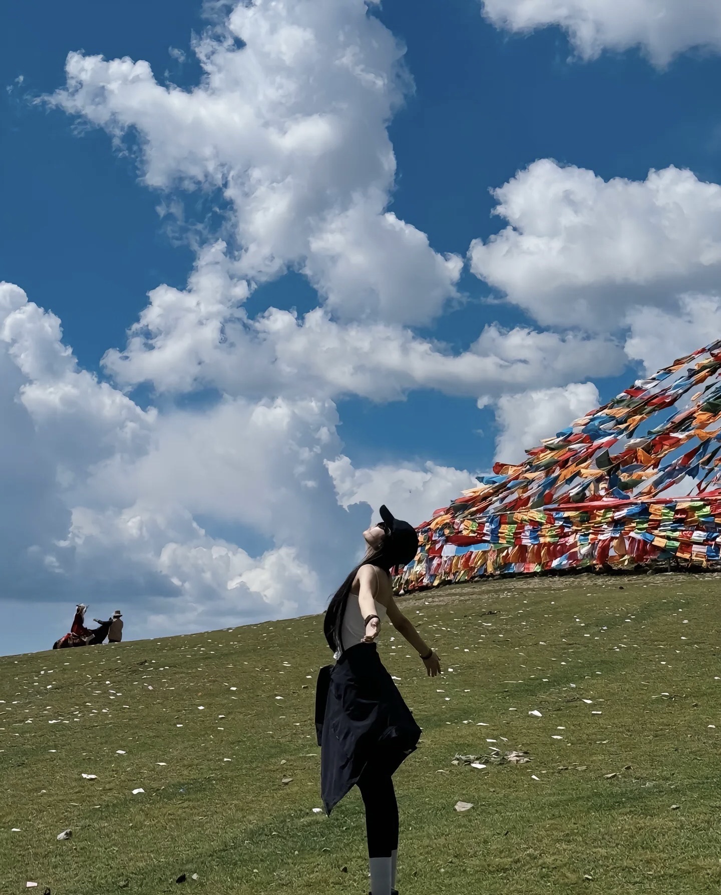 理塘西城门旅行图片 1