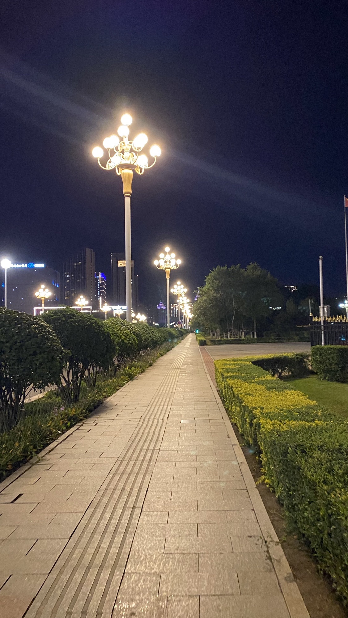 哈尔滨市政府广场旅行图片 3