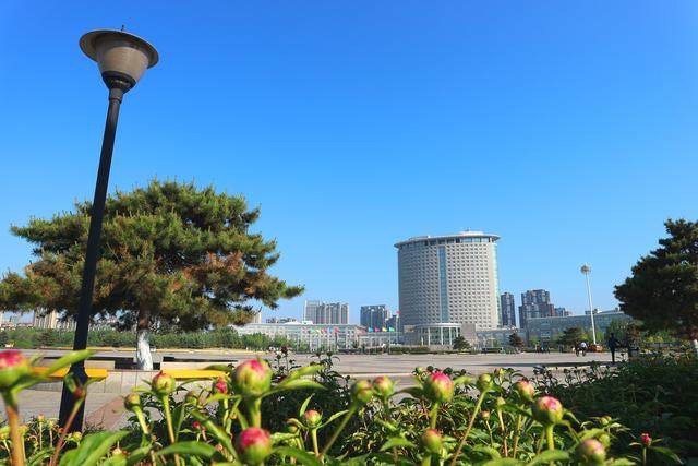 哈尔滨市政府广场旅行图片 3