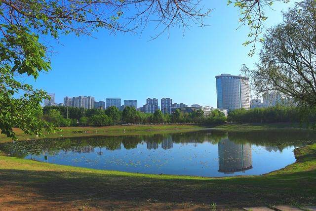 哈尔滨市政府广场旅行图片 1