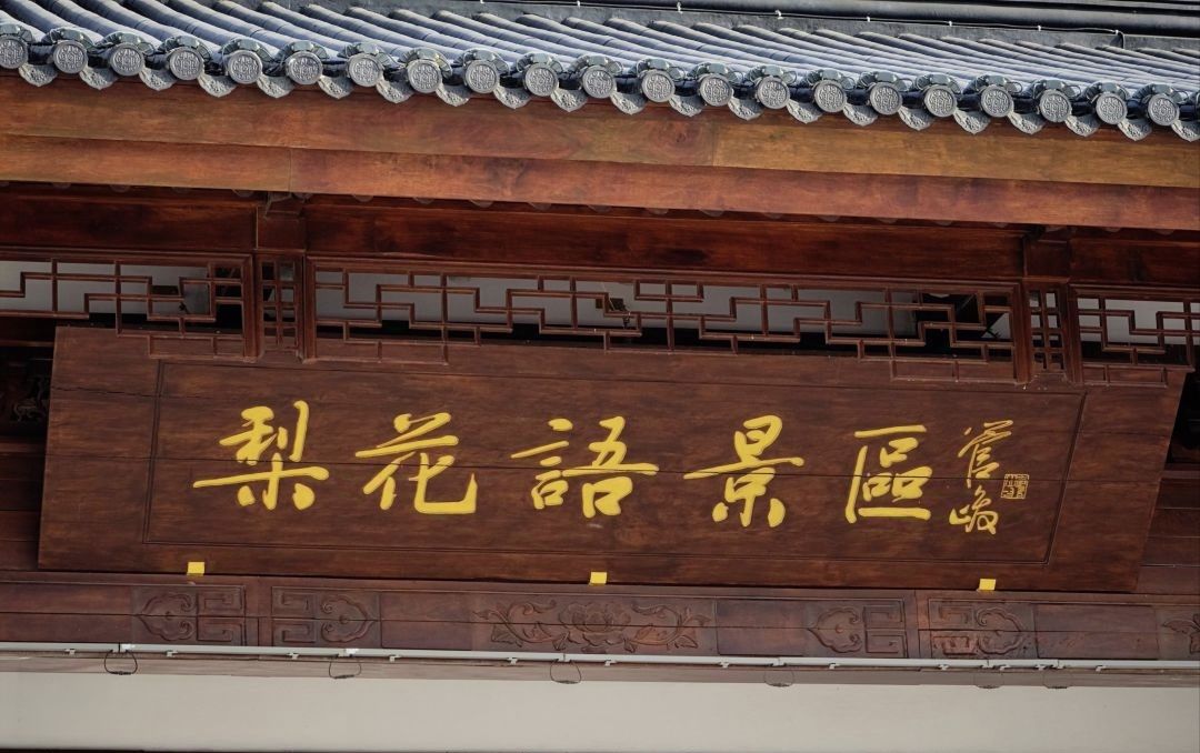 滨海梨花语景区旅行图片 1
