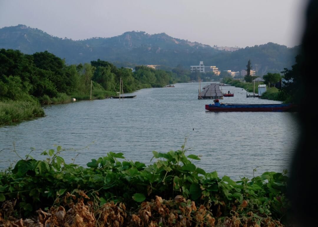 草屿岛旅行图片 1
