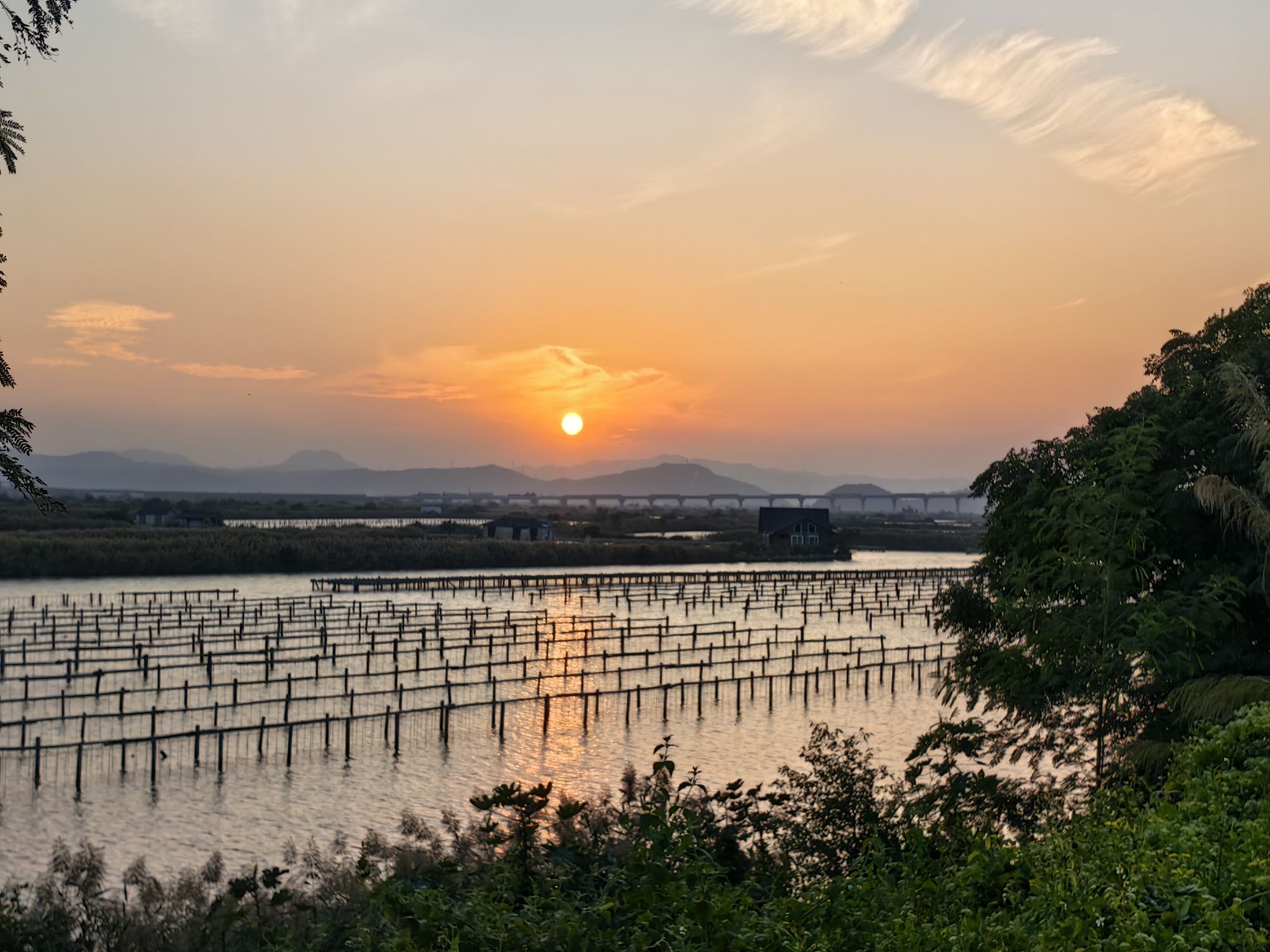 草屿岛旅行图片 2