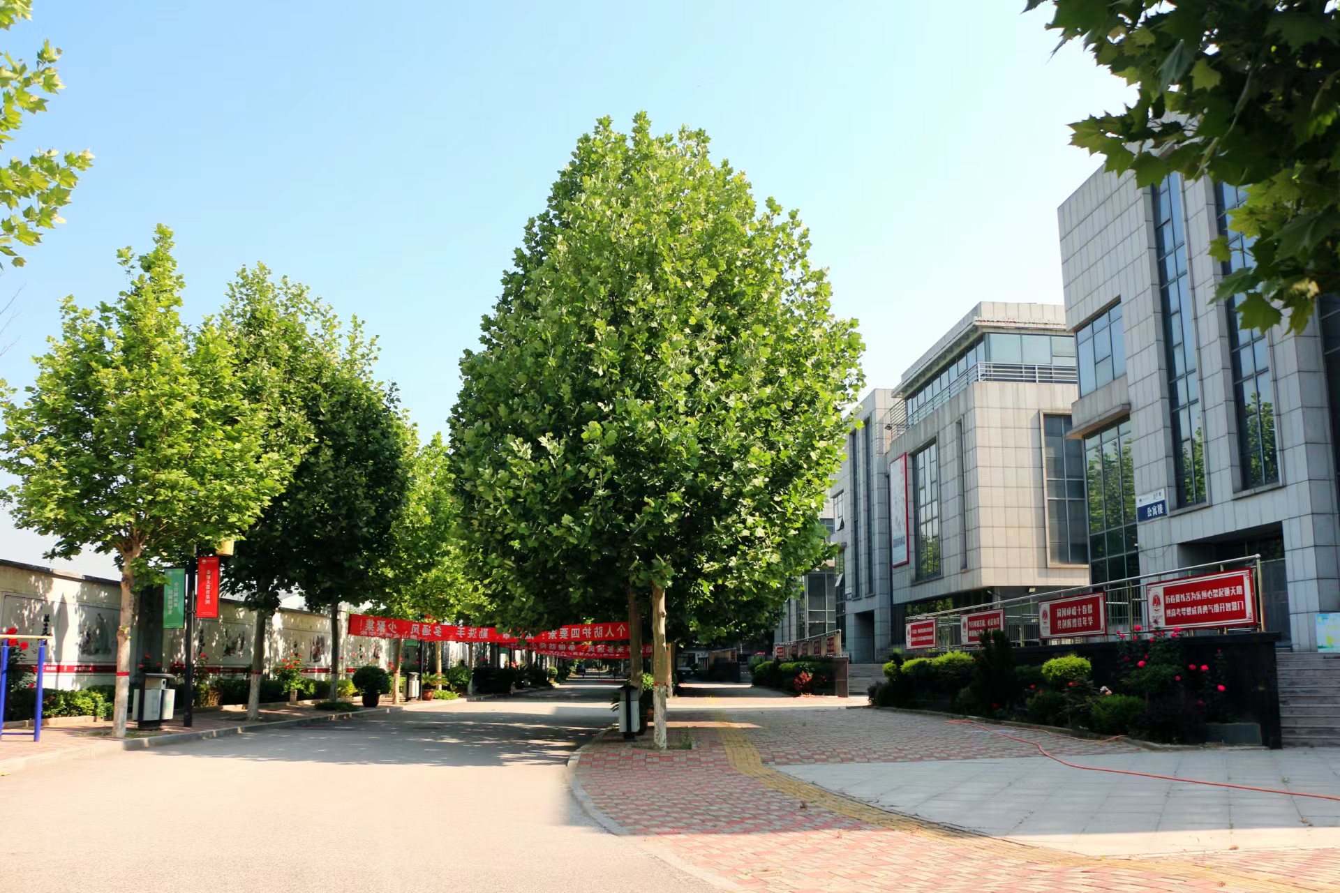 衡大教育集团-唐山校区-金博大学校