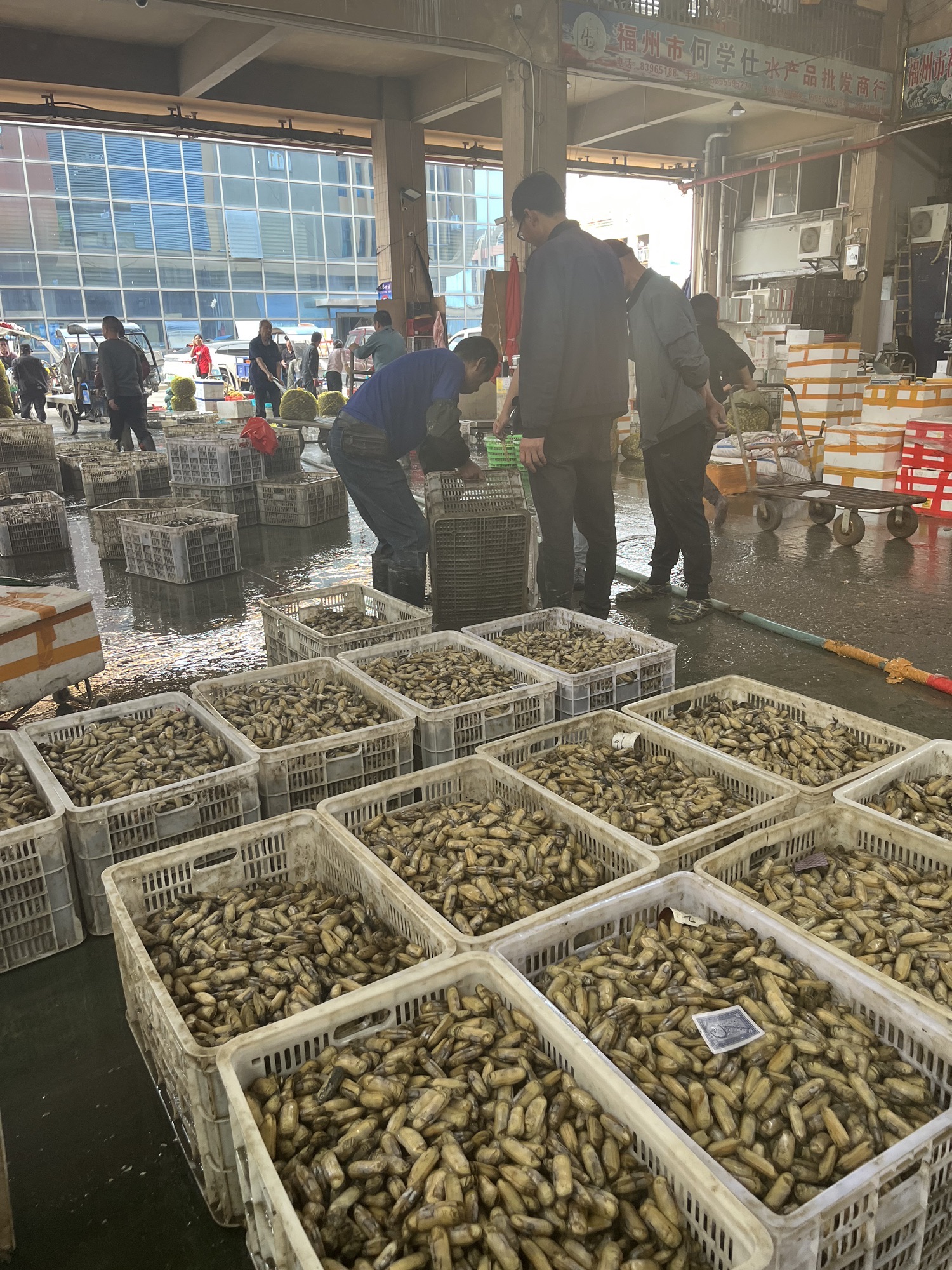 海峡水产批发市场A区