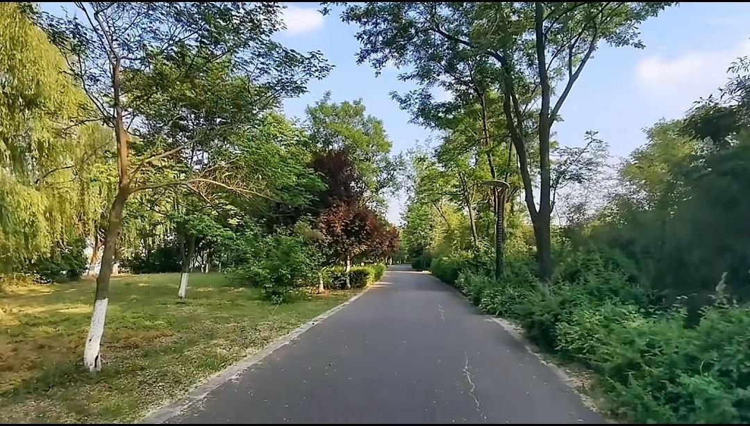 贾汪小南湖湿地公园旅行图片 3