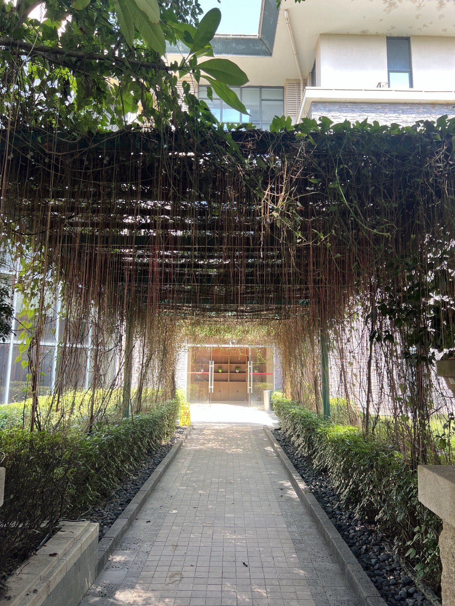 富力岭南花园温泉旅行图片 3