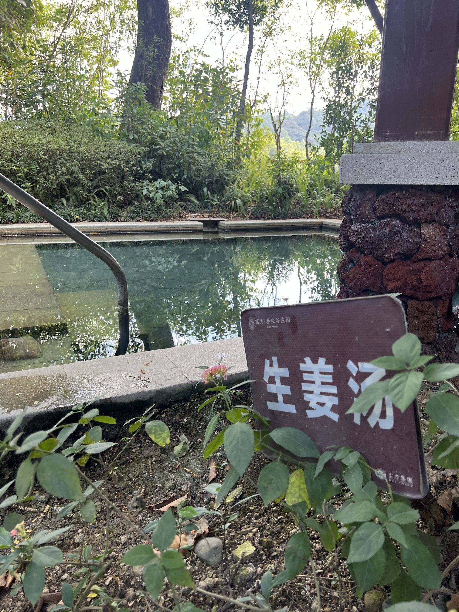 富力岭南花园温泉旅行图片 2