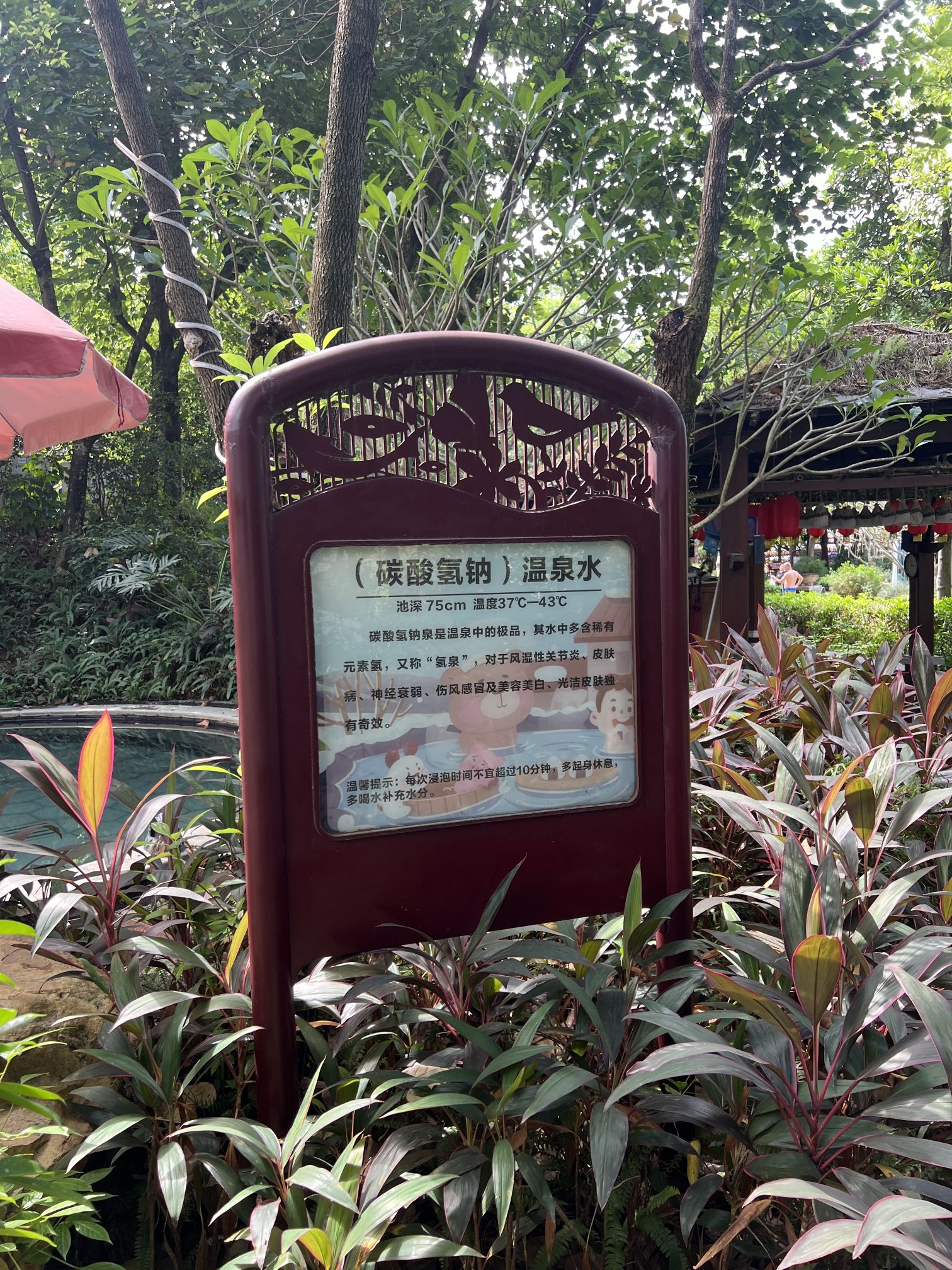 富力岭南花园温泉旅行图片 3
