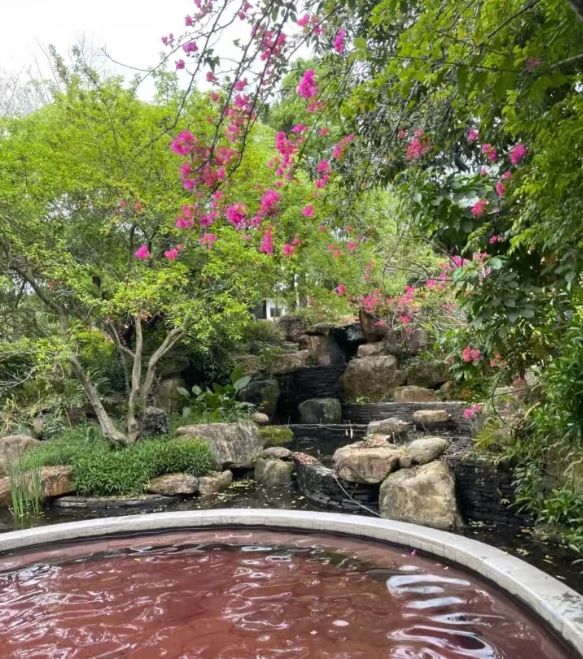 富力岭南花园温泉旅行图片 1