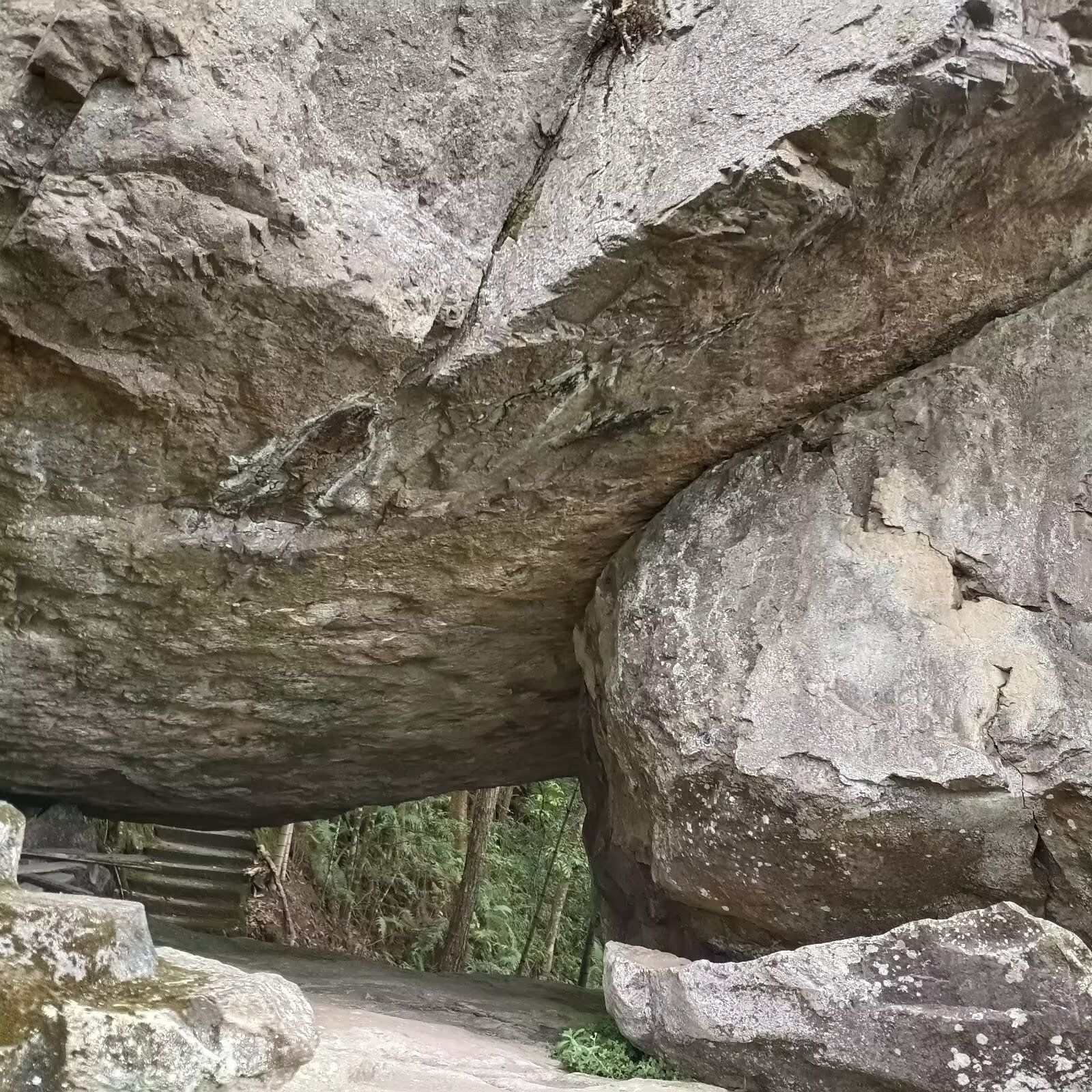 金莲山旅行图片 1