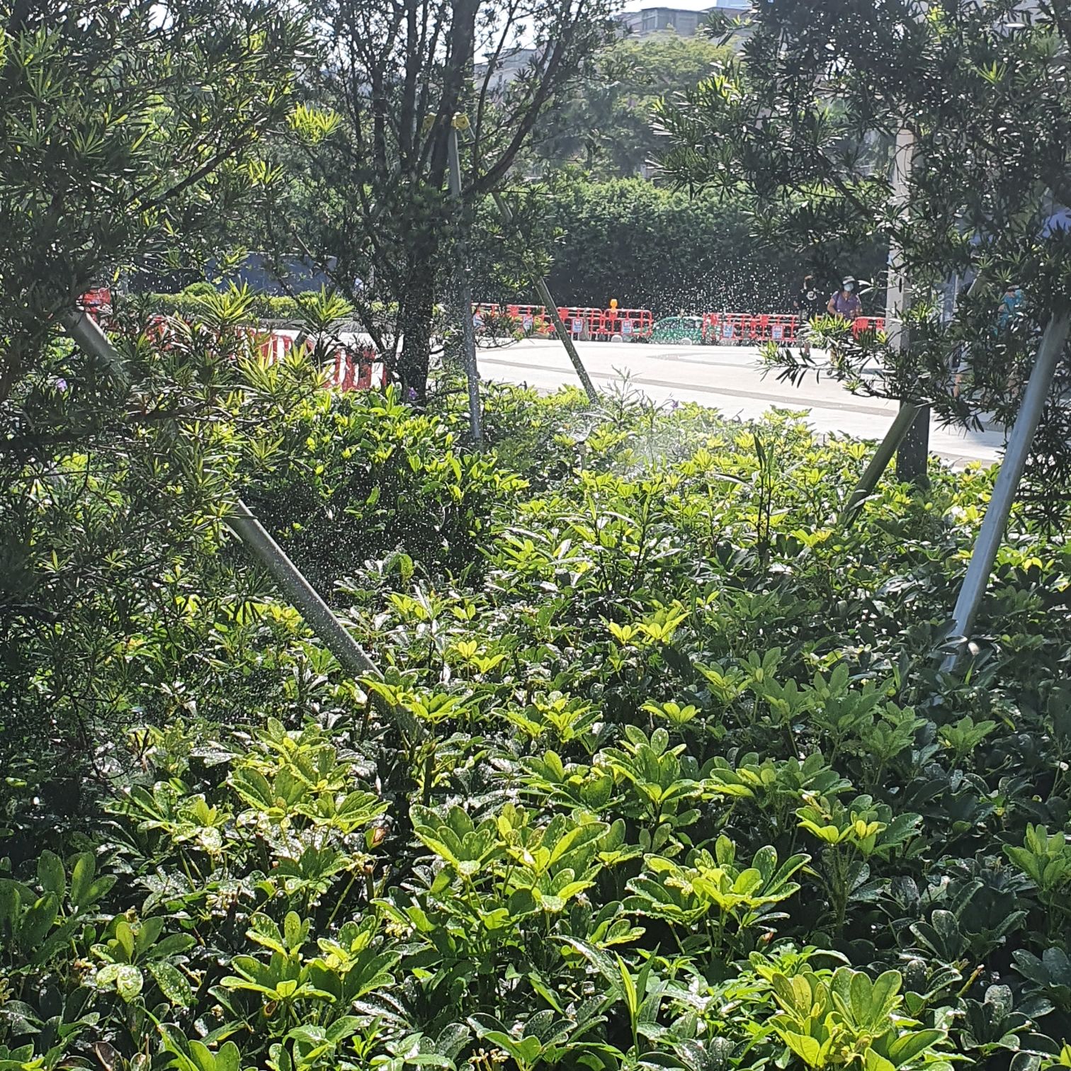 凉粉桥社区公园旅行图片 3
