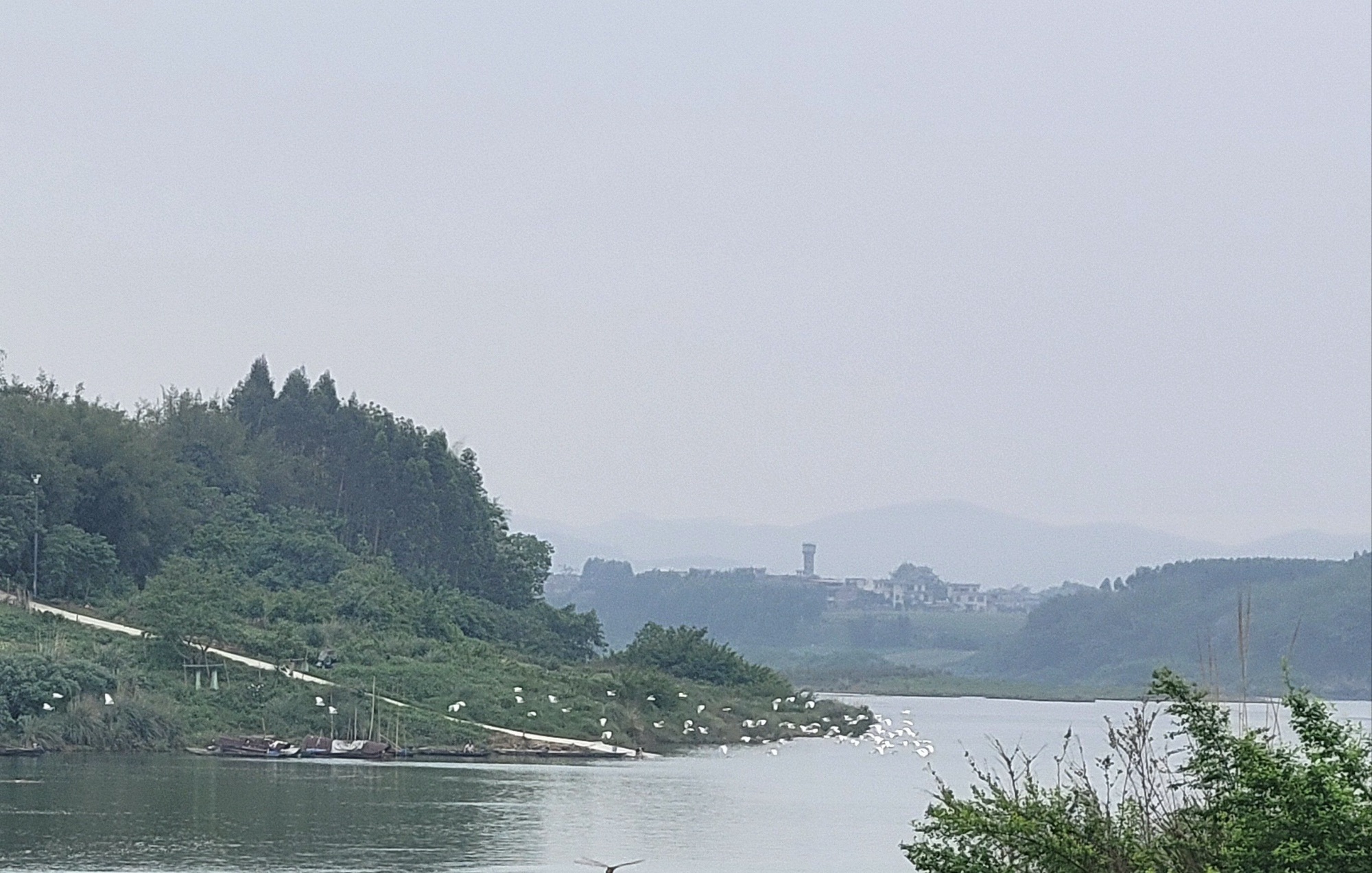 白沙屯蚂拐岛旅行图片 2