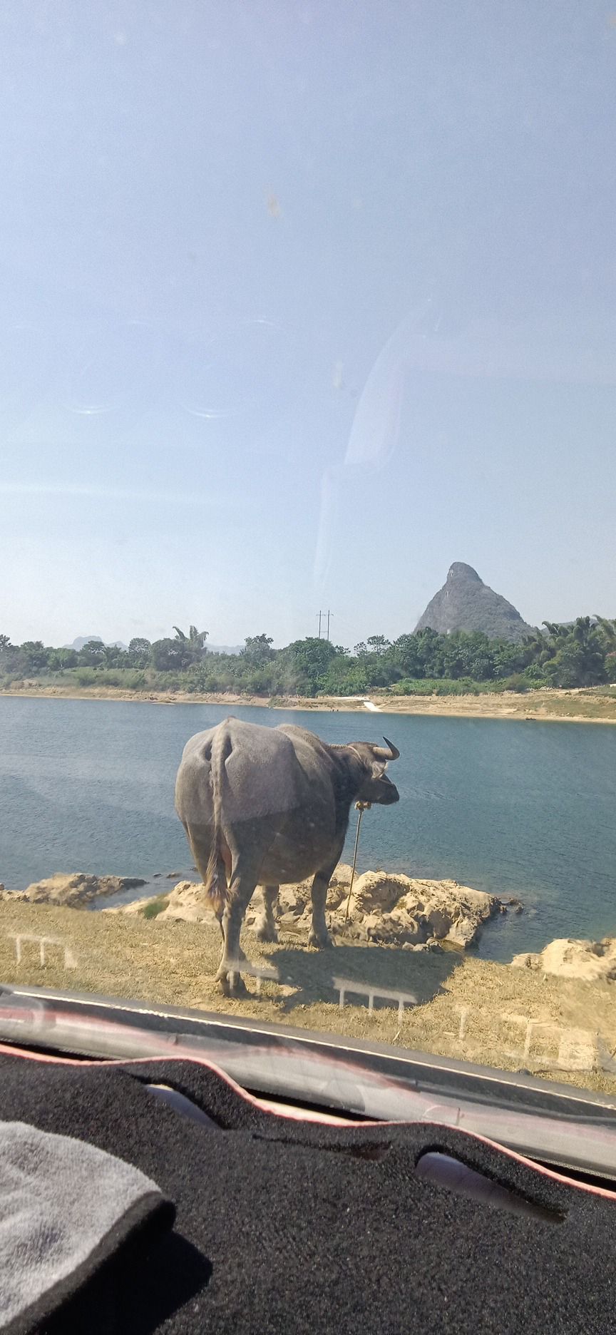 白沙屯蚂拐岛旅行图片 1