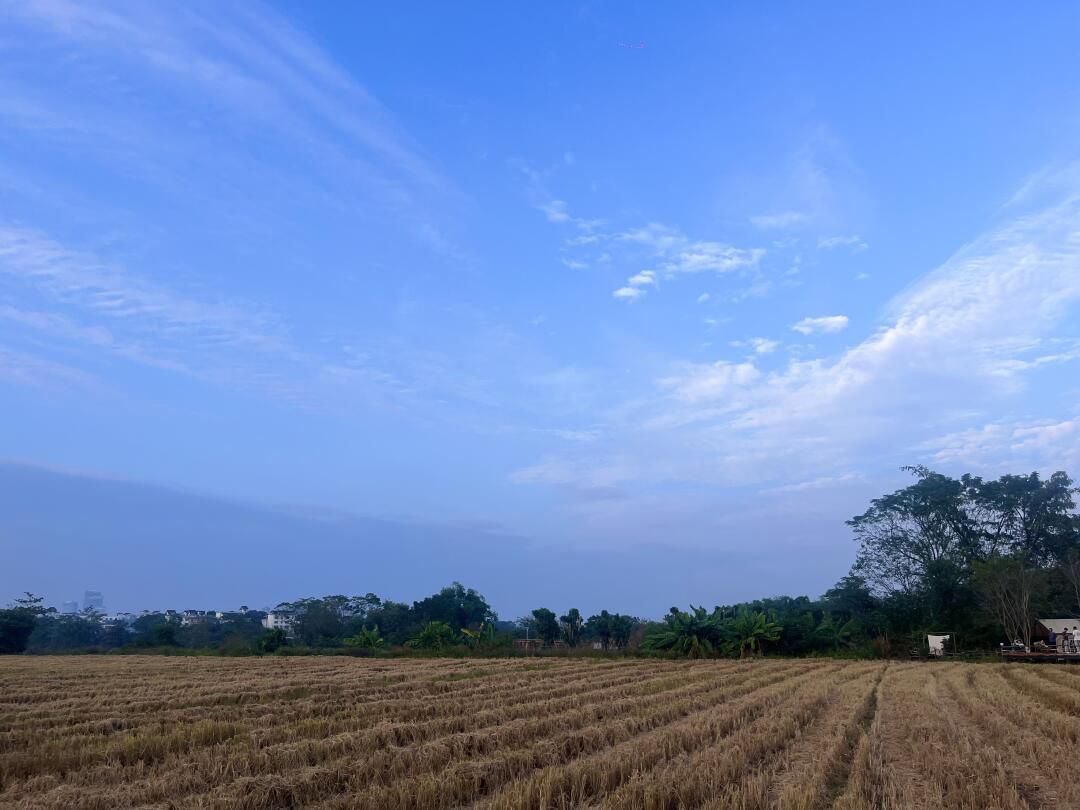 顶蛳山田园风光区旅行图片 1