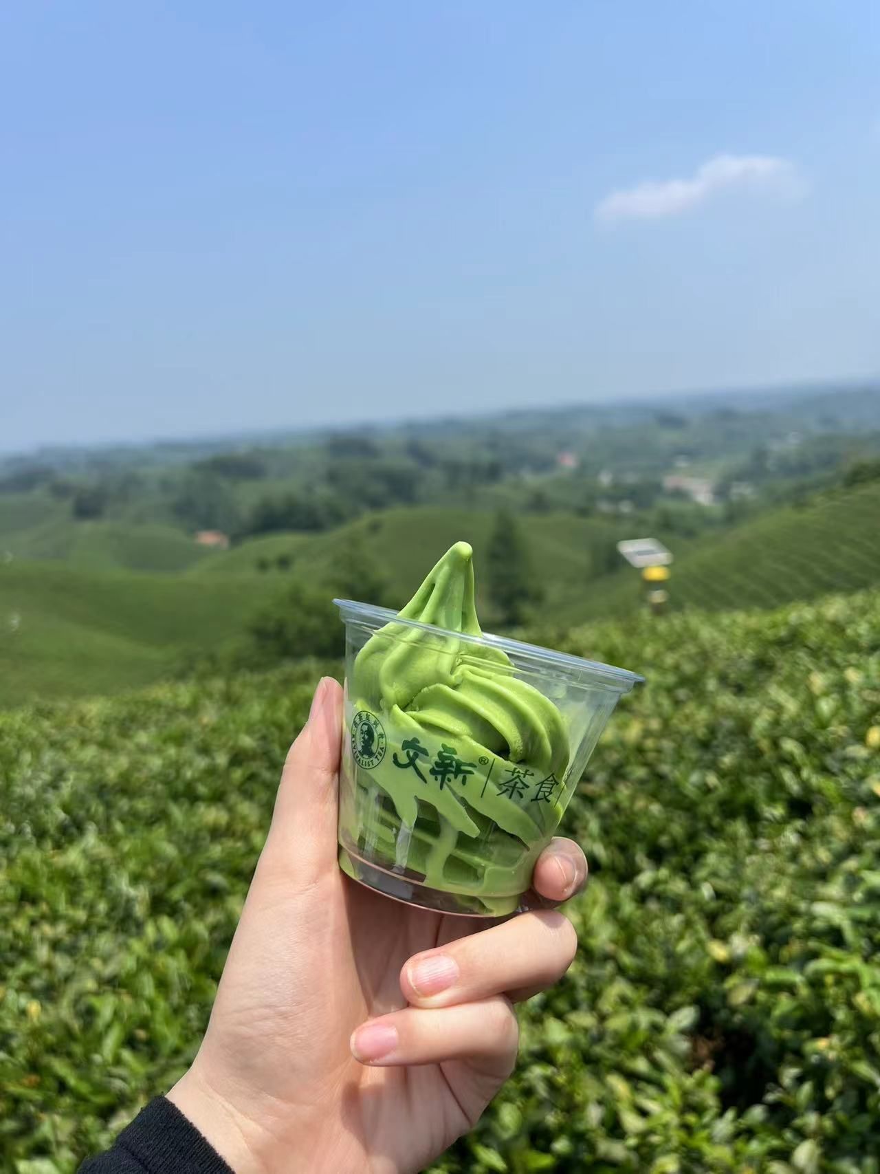 文新茶村旅行图片 1