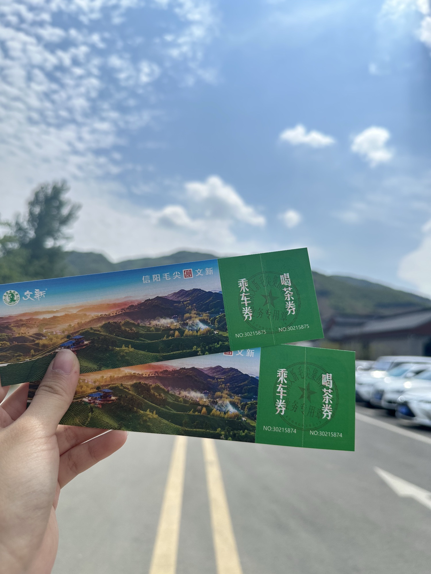文新茶村旅行图片 1