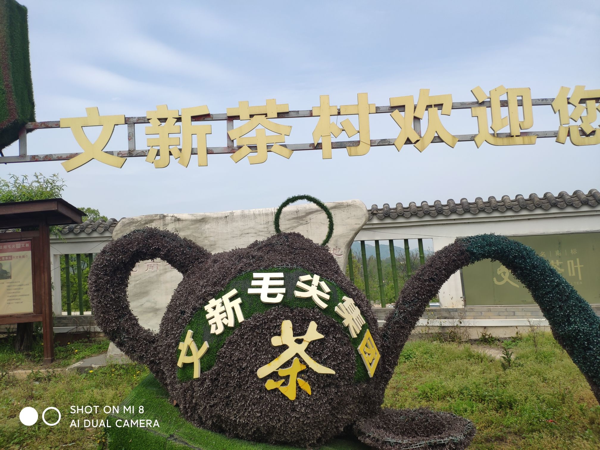 文新茶村旅行图片 1