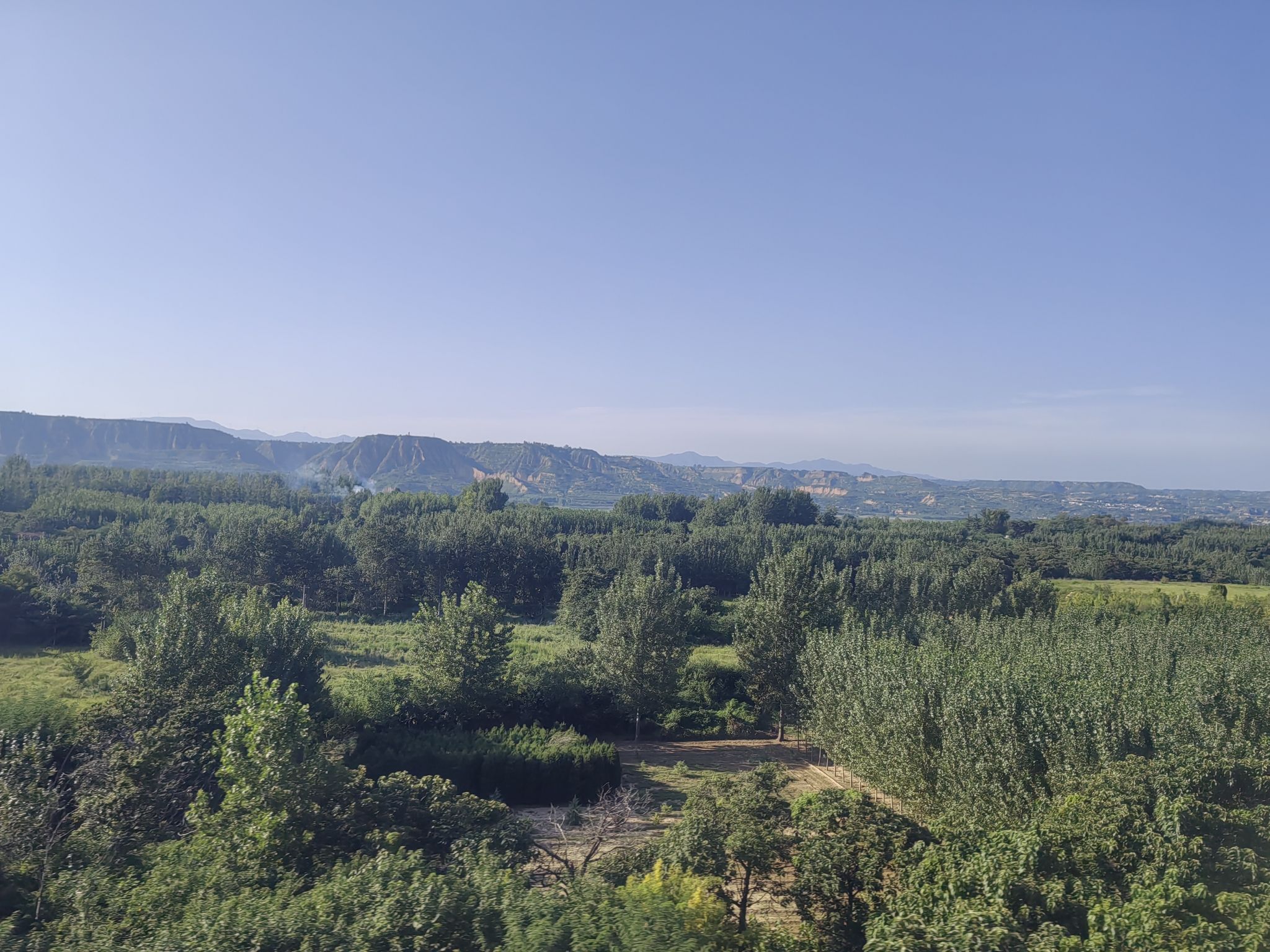 鼎湖芦苇荡风景区旅行图片 2