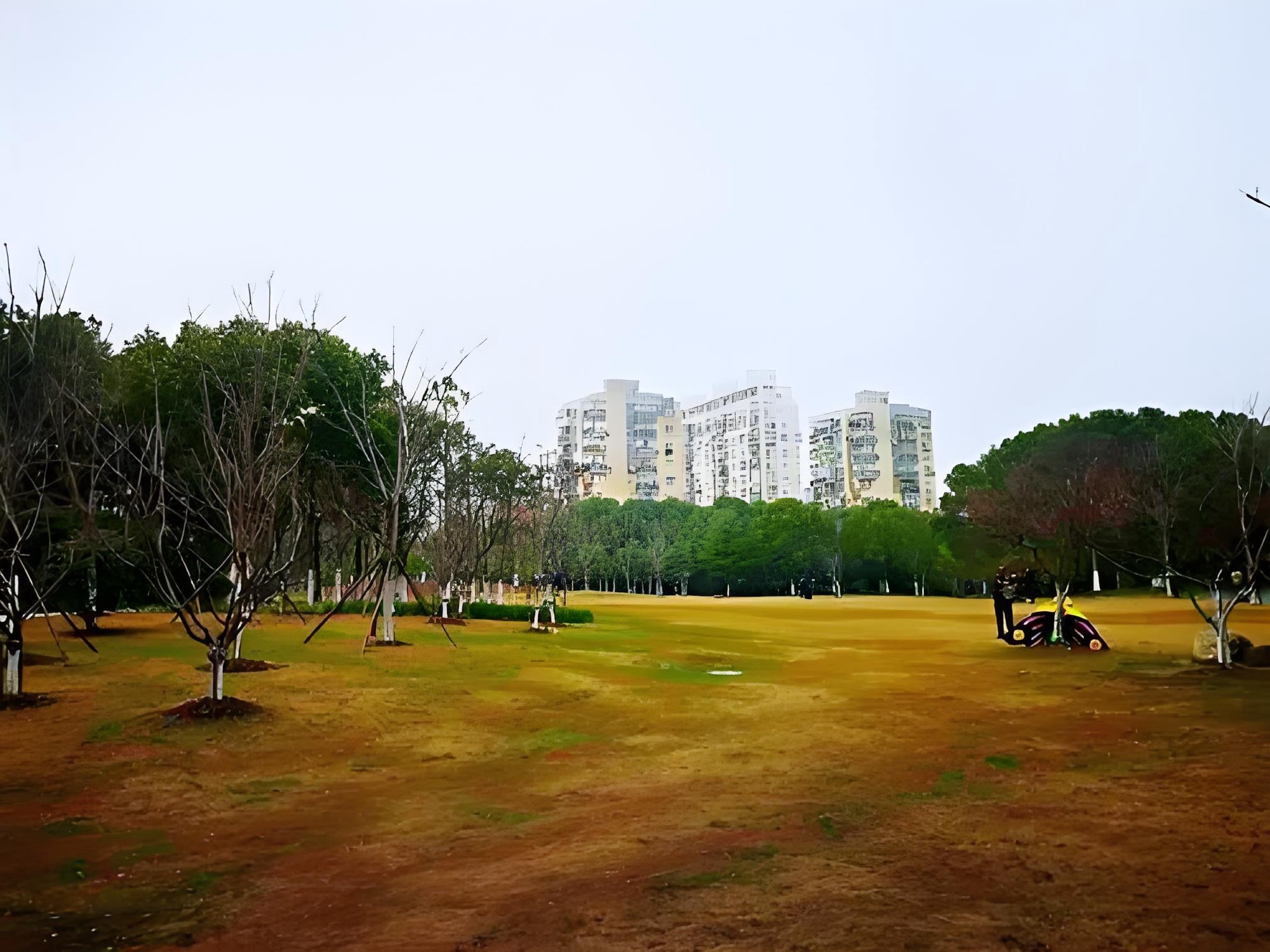 菊盛公园旅行图片 2