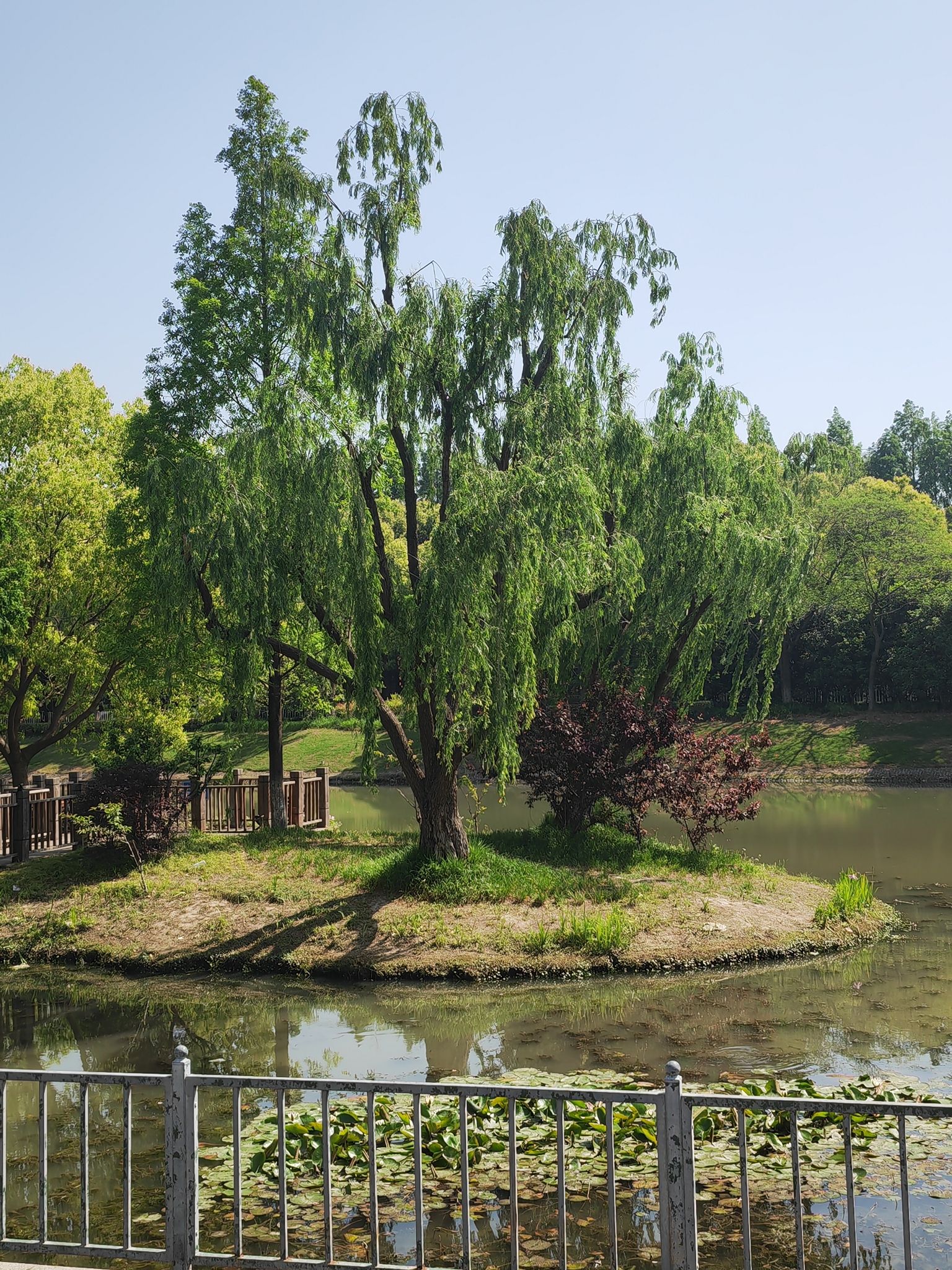 菊盛公园