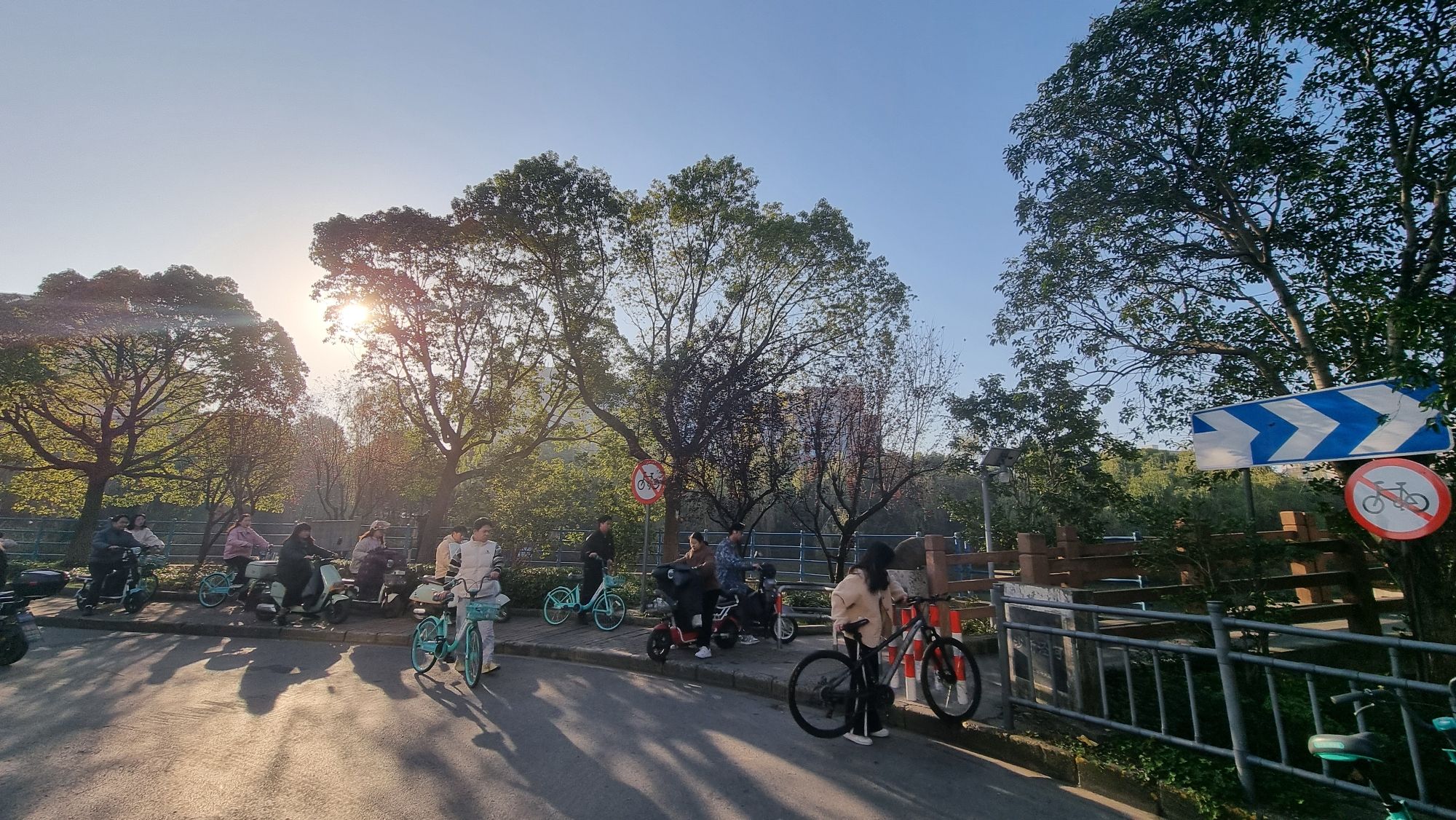 菊盛公园旅行图片 3