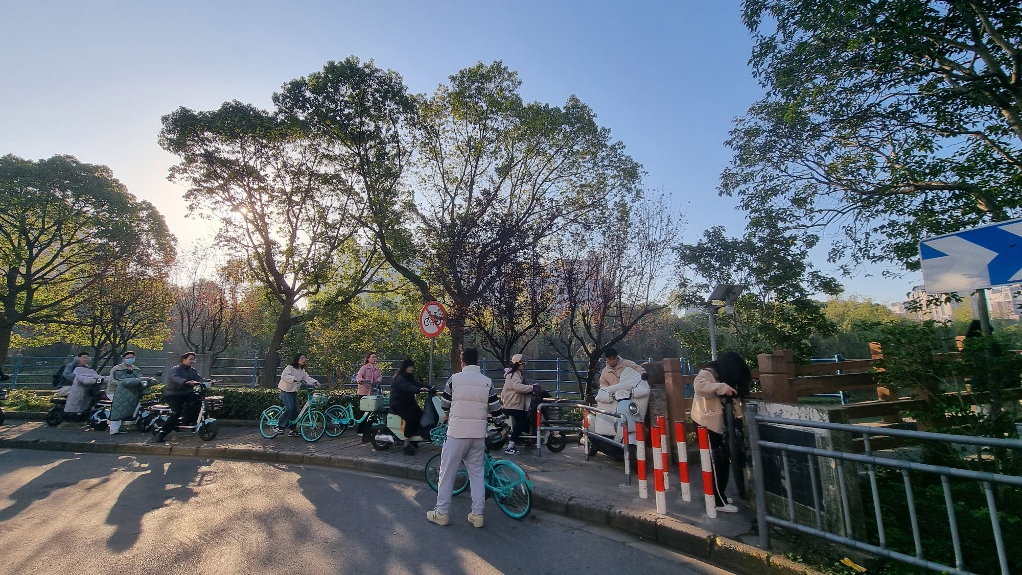菊盛公园旅行图片 2