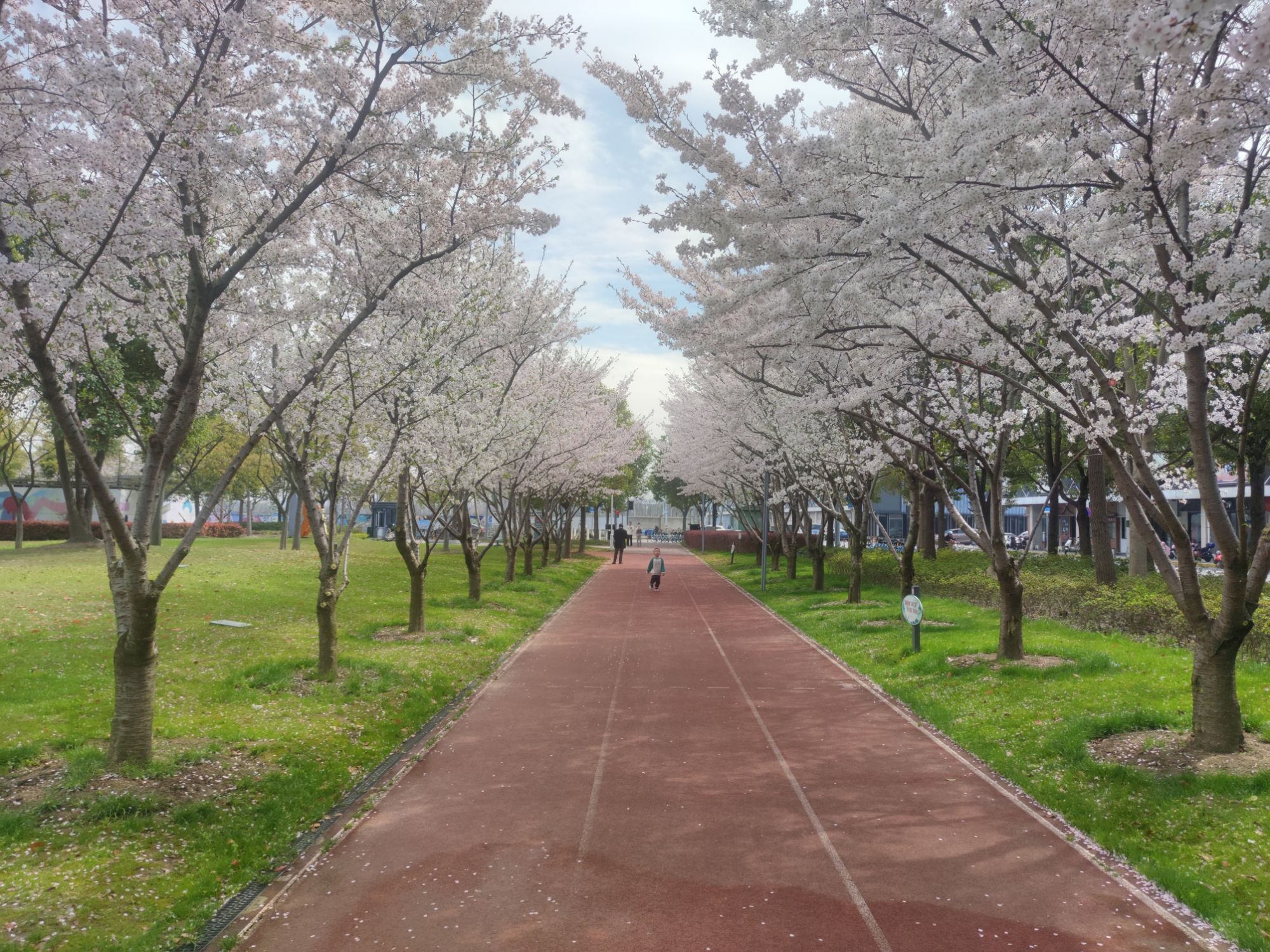 市民公园旅行图片 1