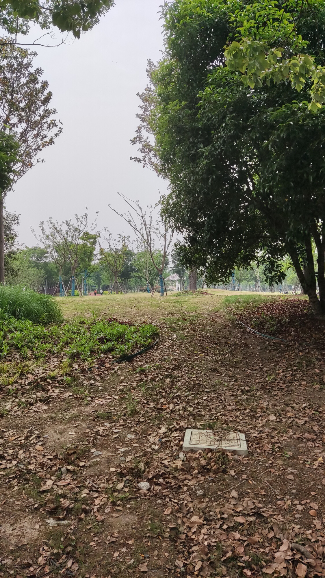 市民公园旅行图片 3