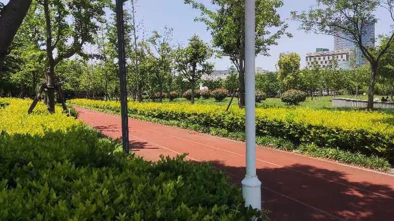 市民公园旅行图片 2
