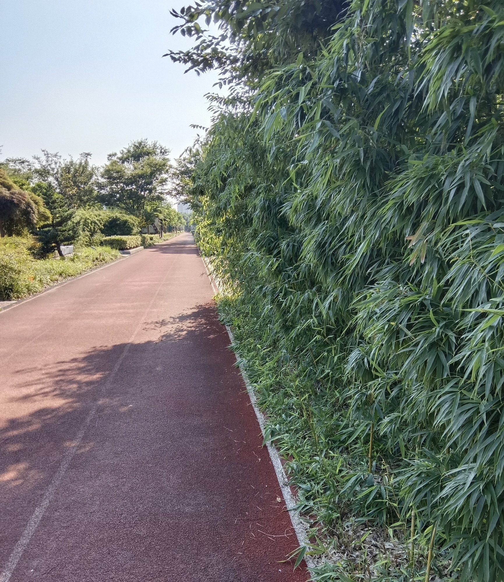 市民公园旅行图片 3