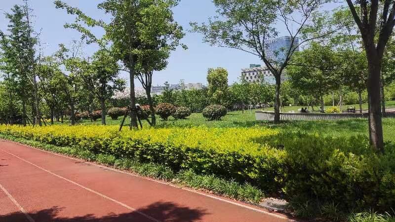 市民公园旅行图片 1