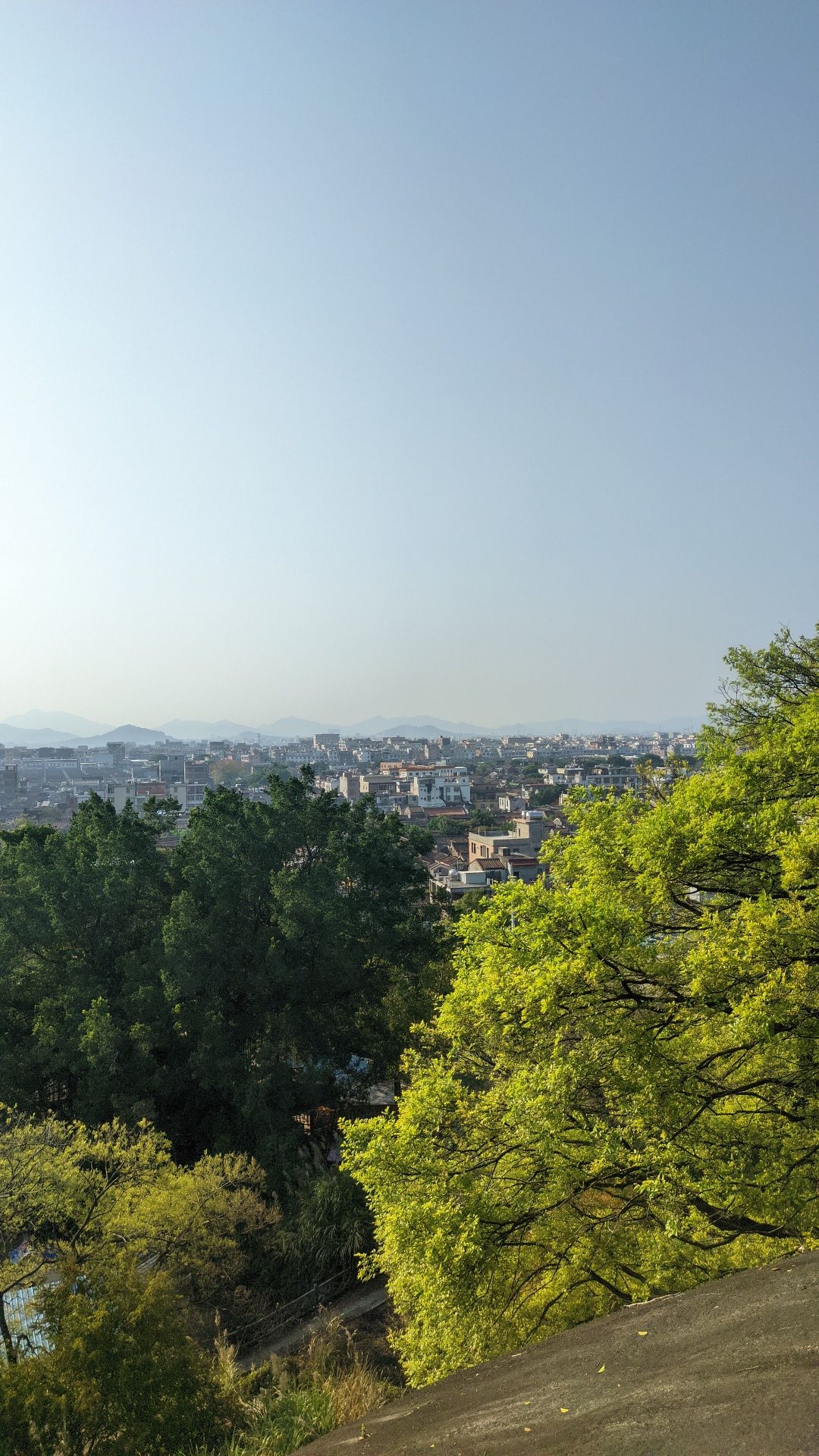 贵屿后山
