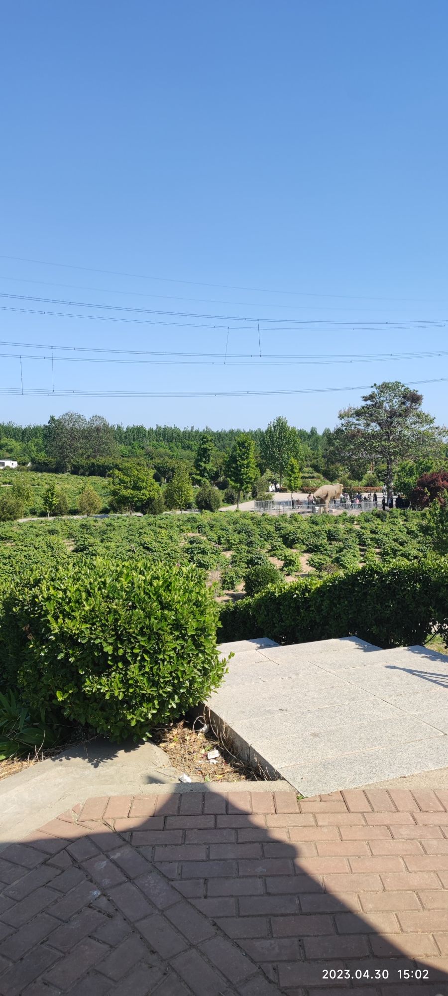 登星牡丹园旅行图片 3