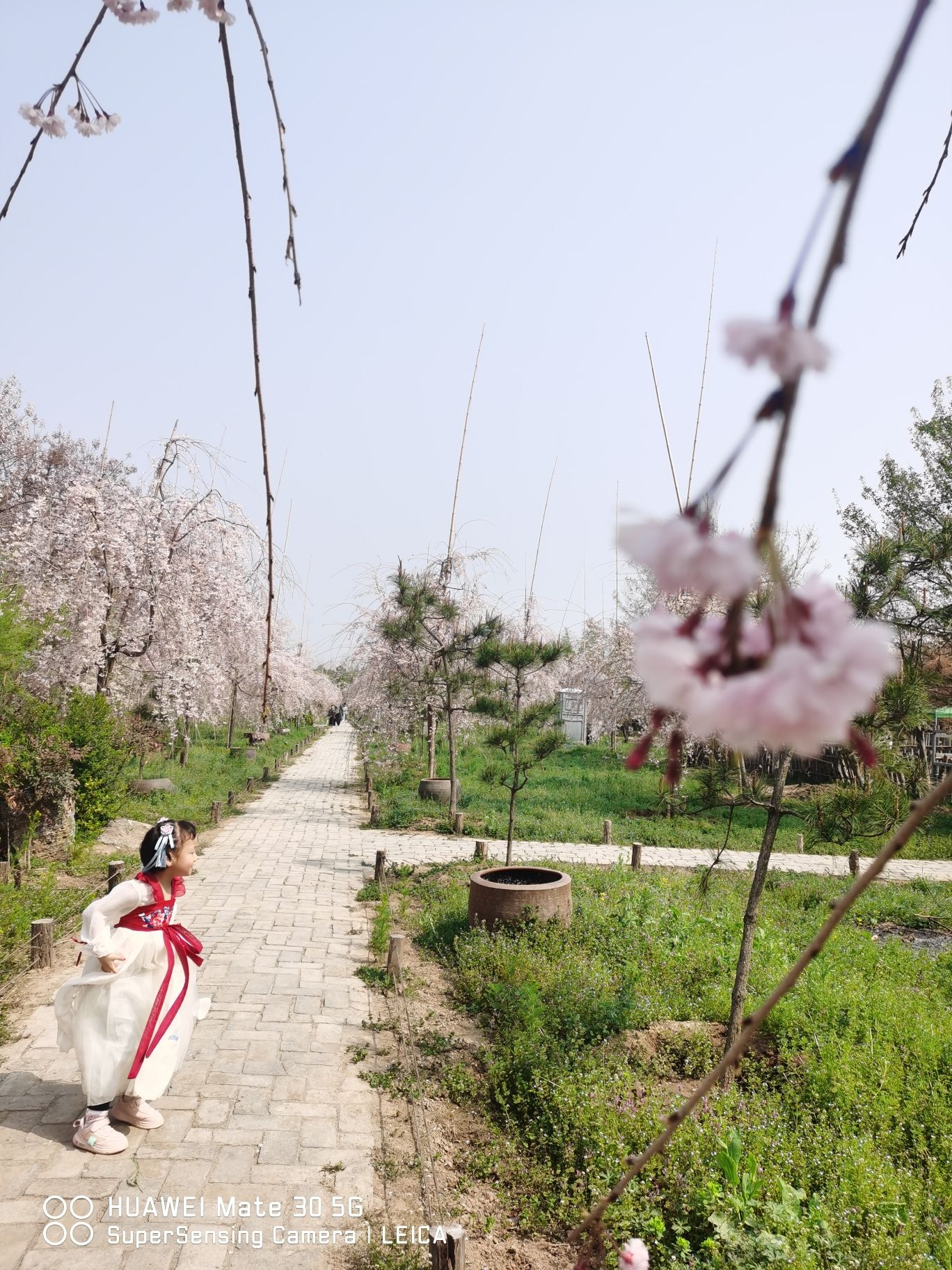 唐韵生态旅游区旅行图片 3