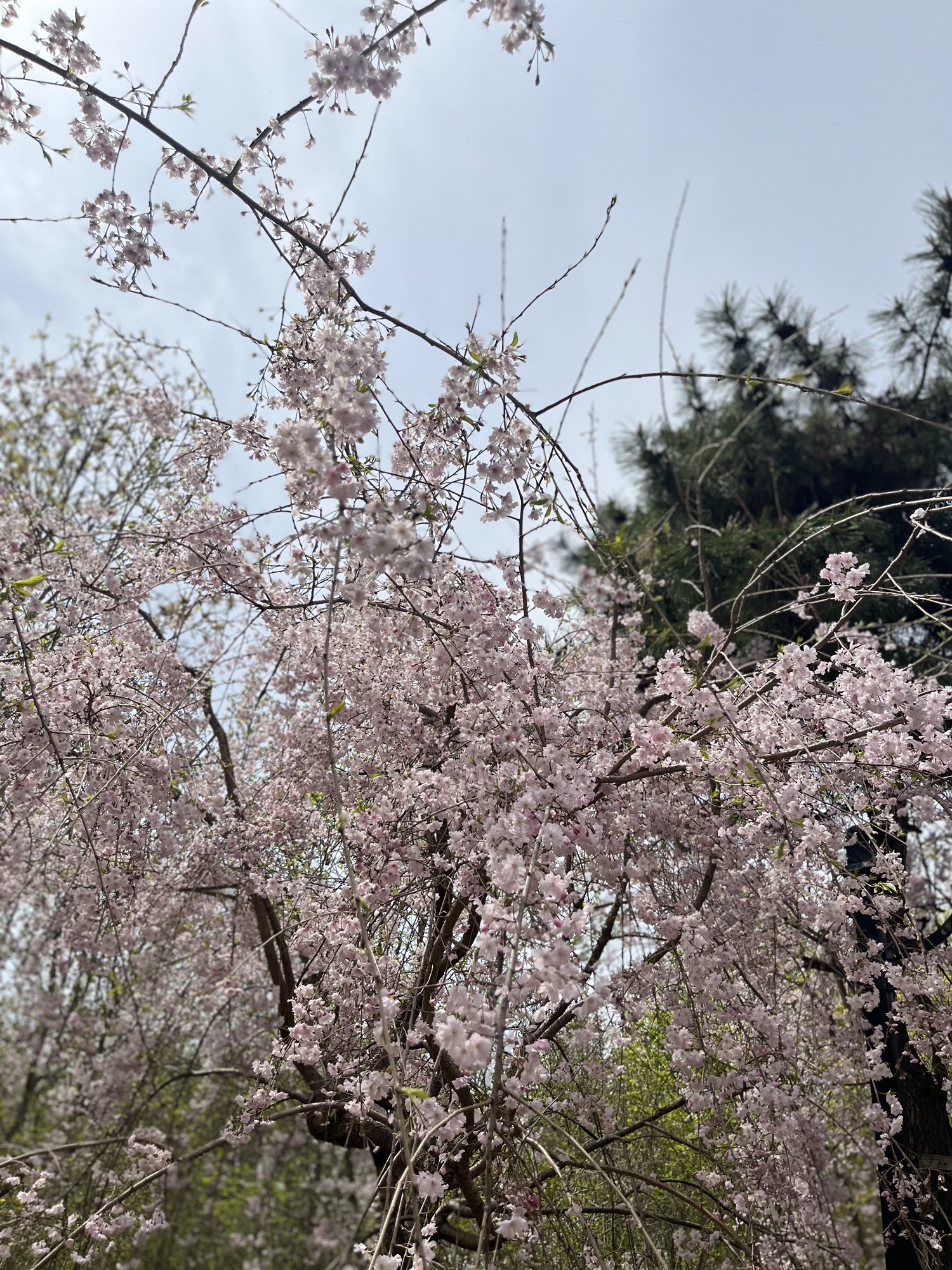 唐韵生态旅游区旅行图片 2