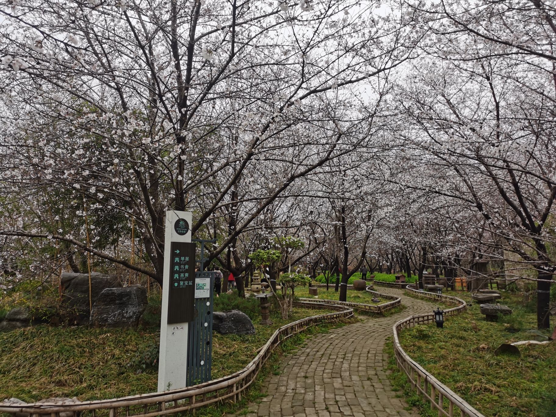 唐韵生态旅游区旅行图片 1