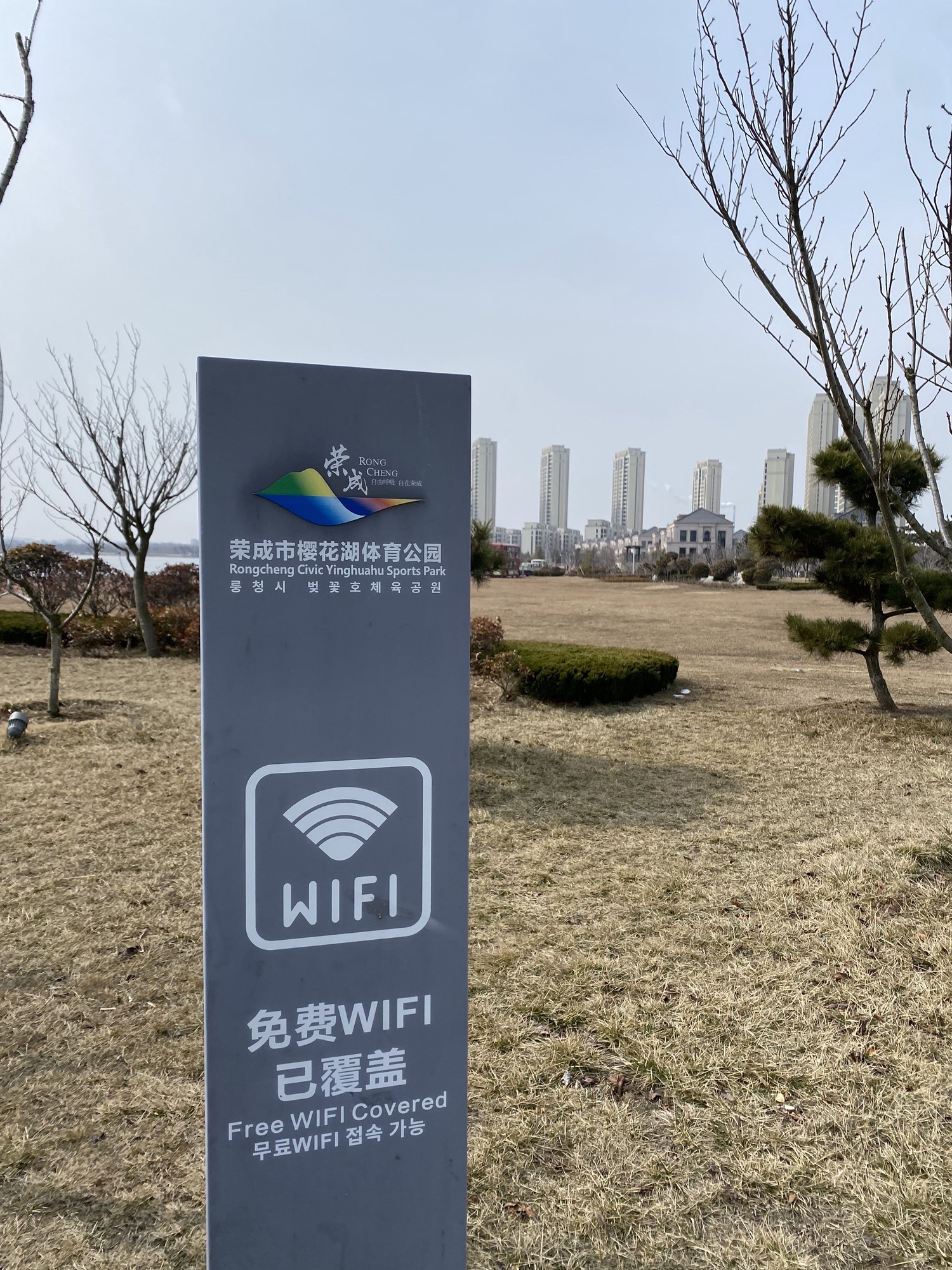 樱花湖体育公园旅行图片 3