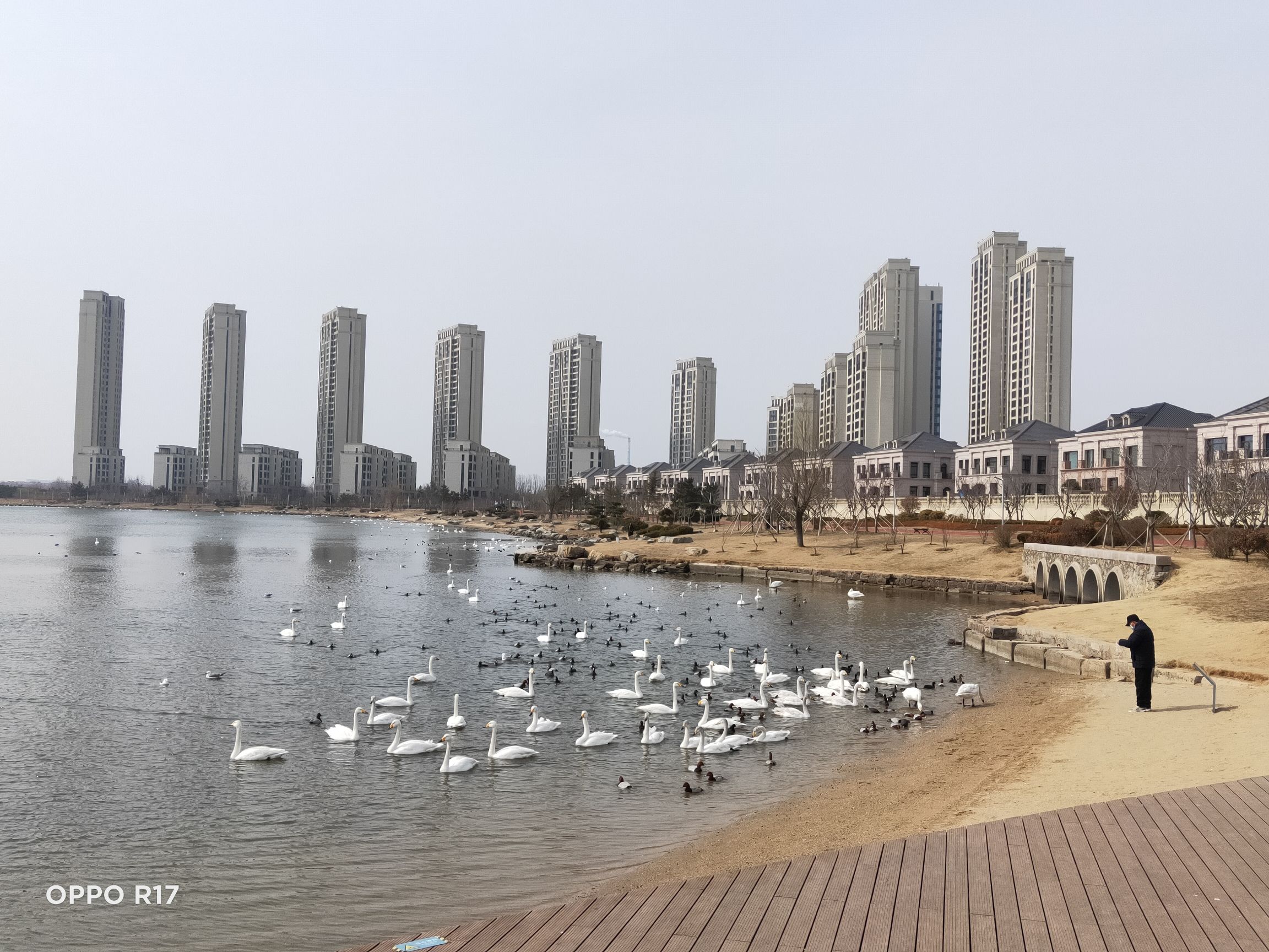 樱花湖体育公园旅行图片 1