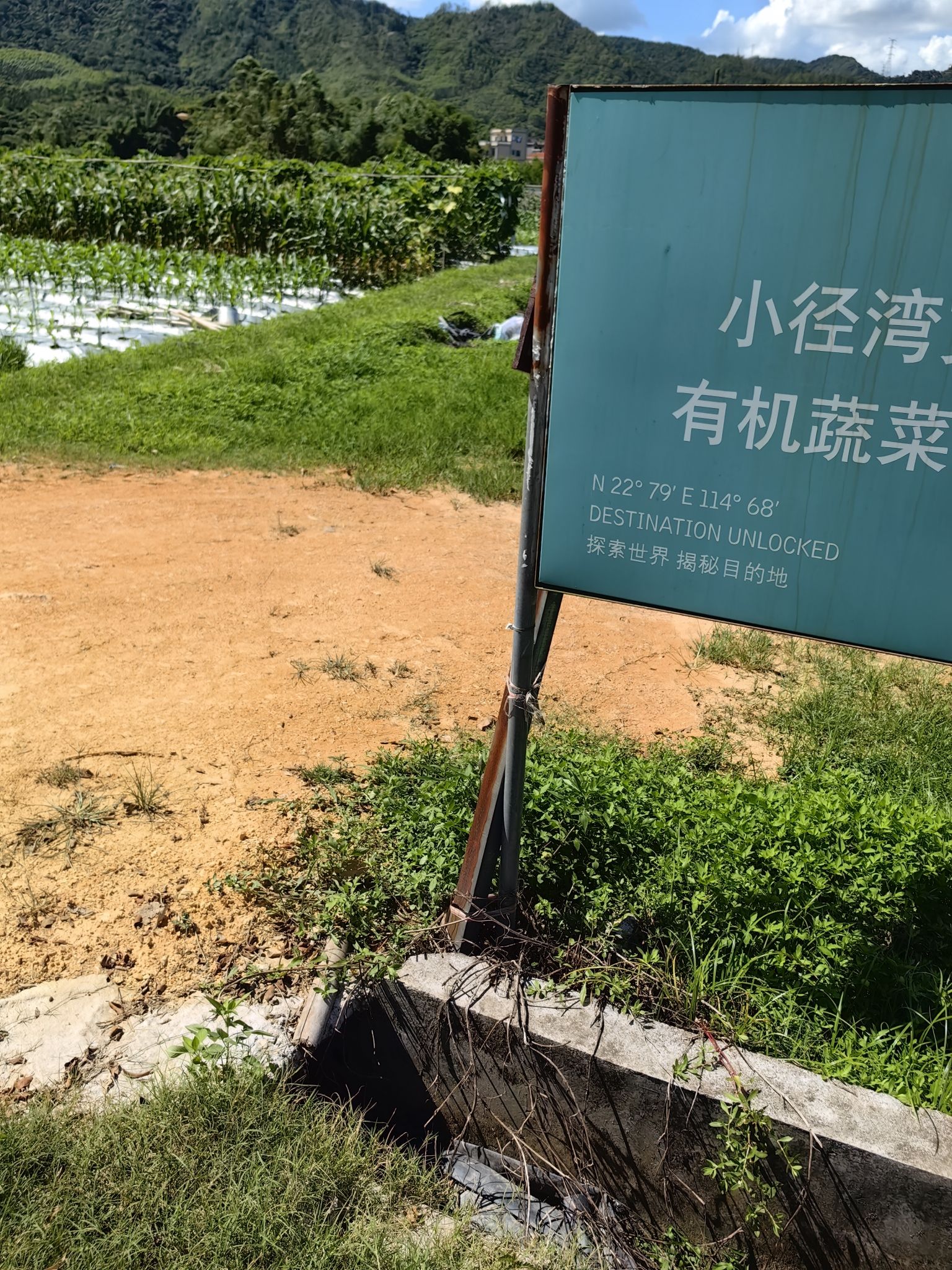 惠州日出而耕有机农场