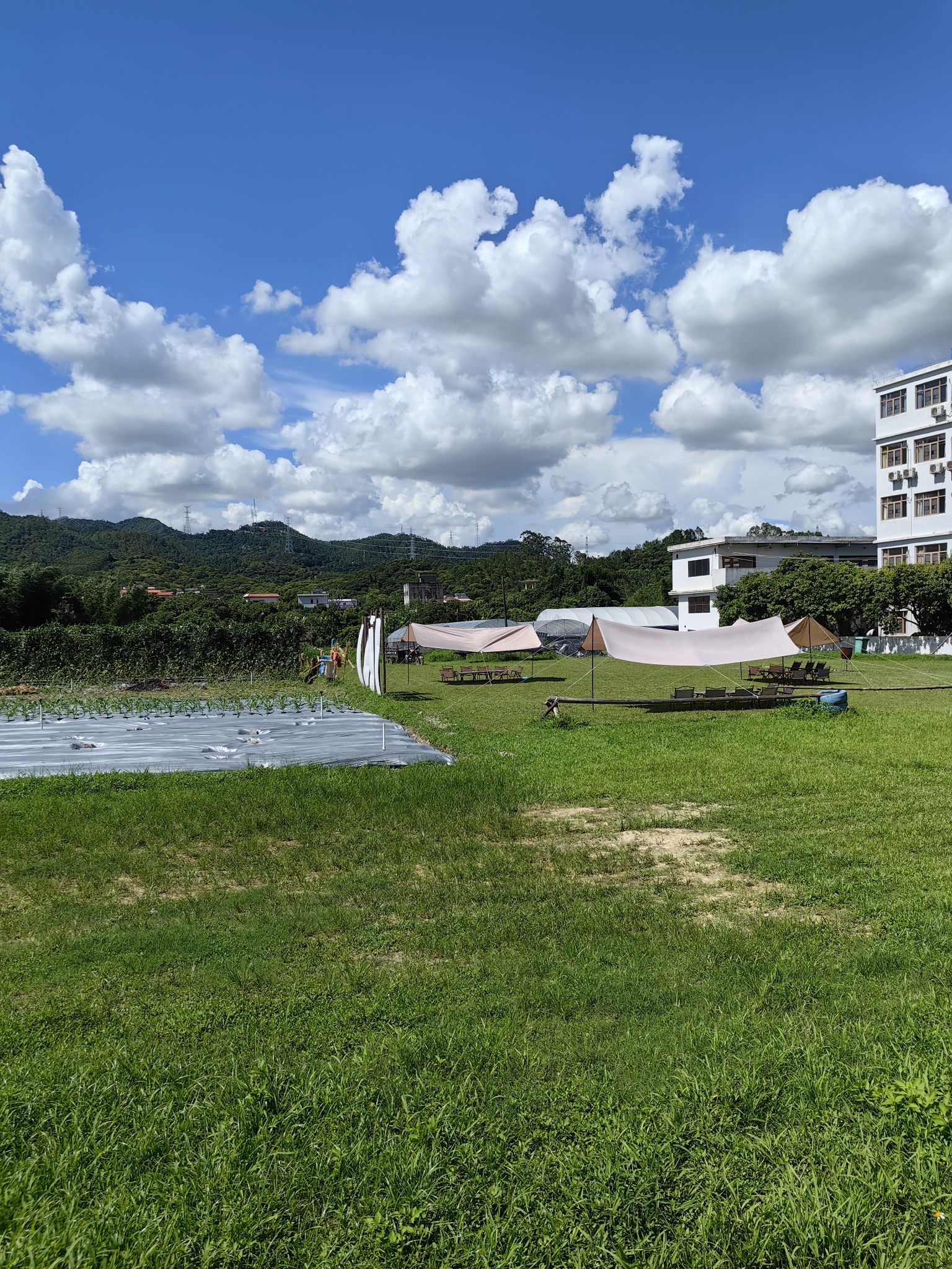 惠州日出而耕有机农场