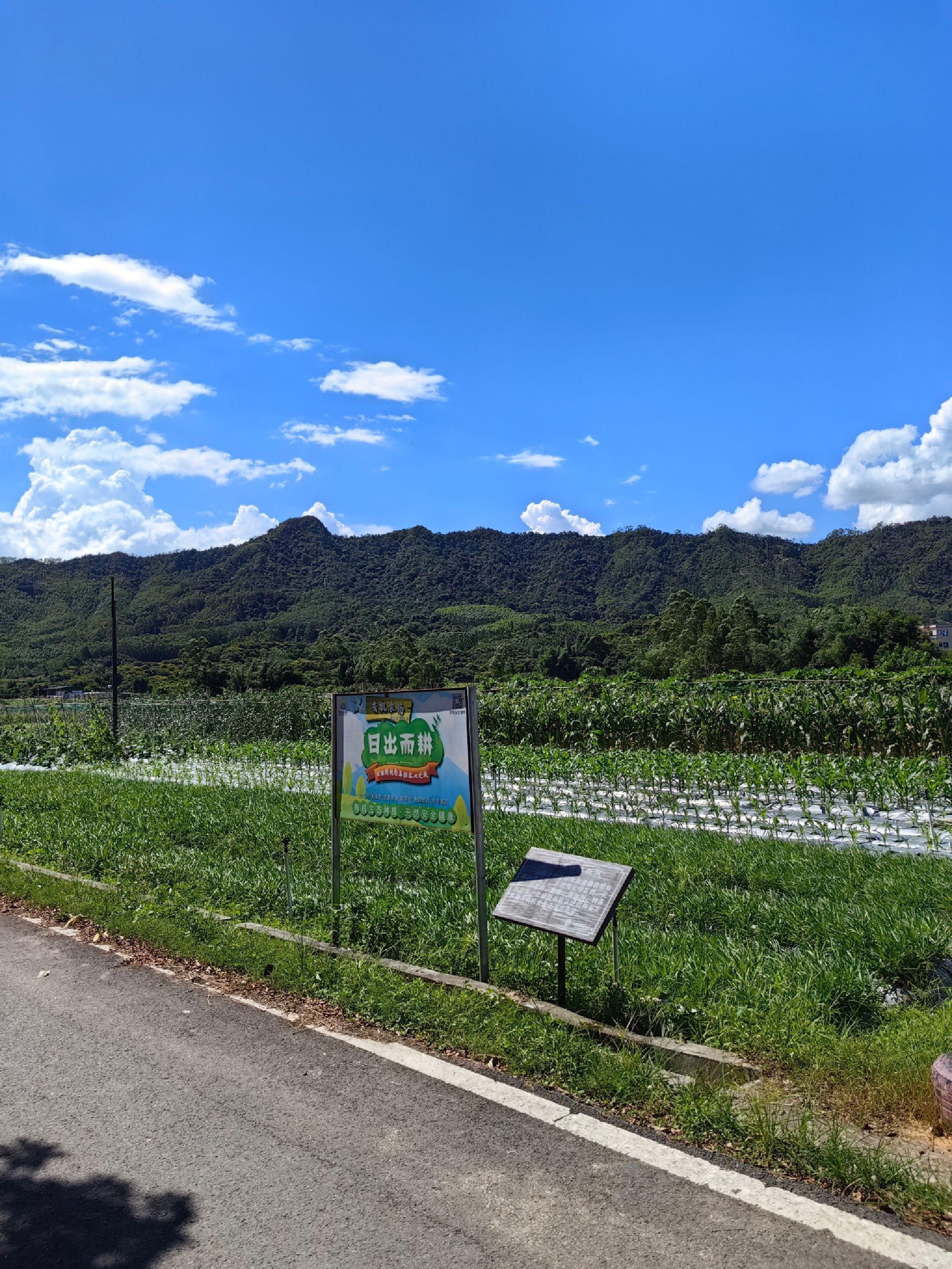 惠州日出而耕有机农场