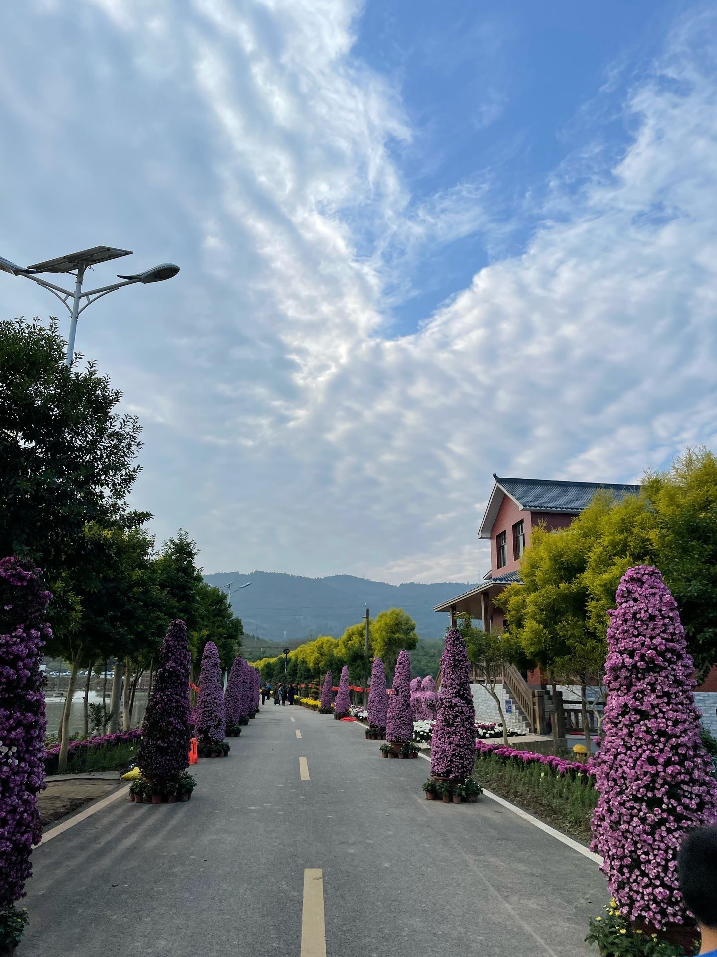 渔人部落旅行图片 1