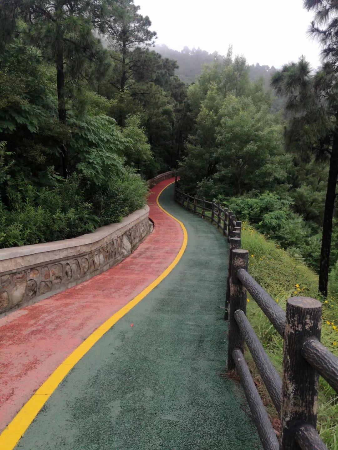 北固山森林公园旅行图片 2
