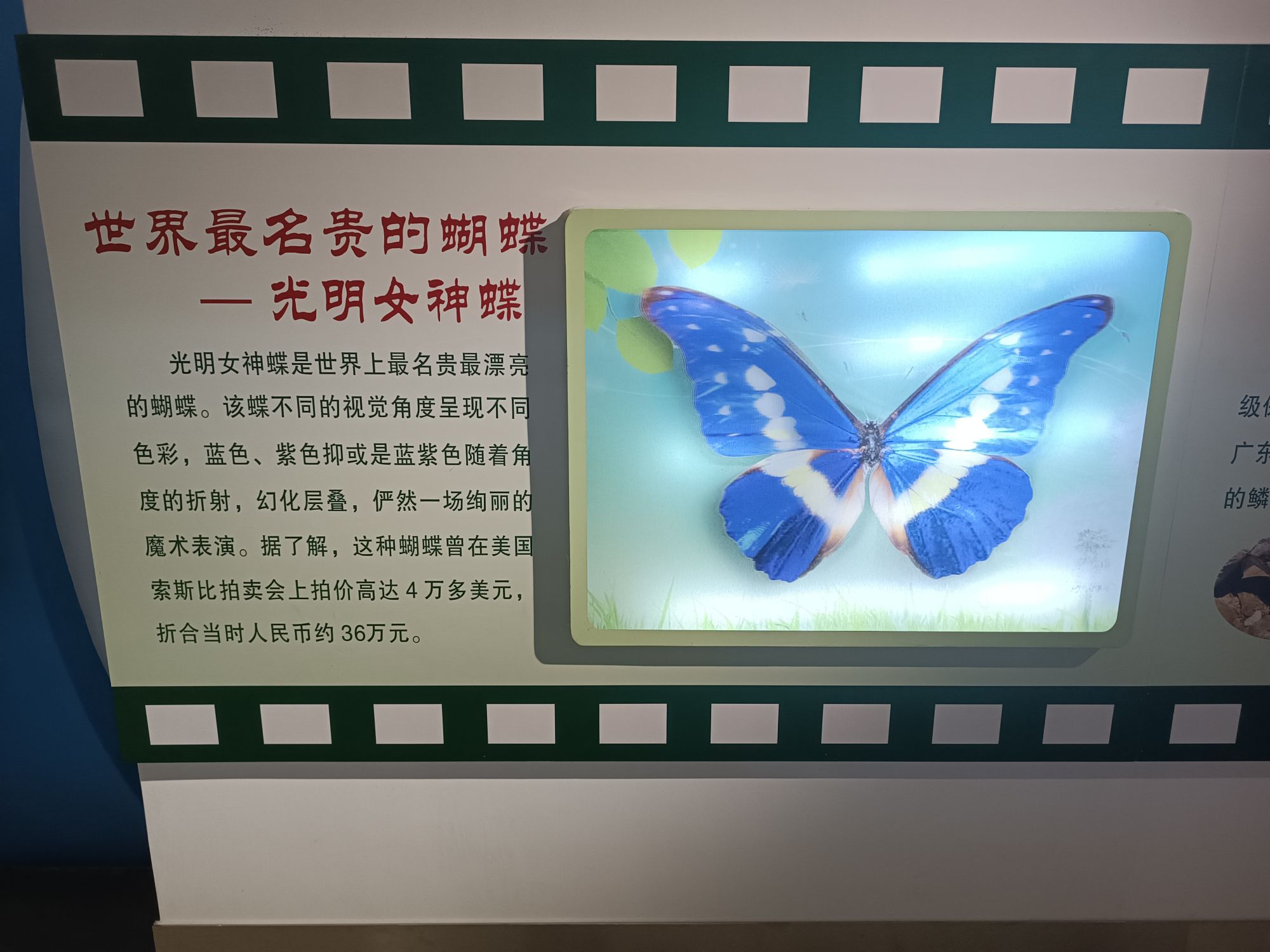 徐汇区科技馆