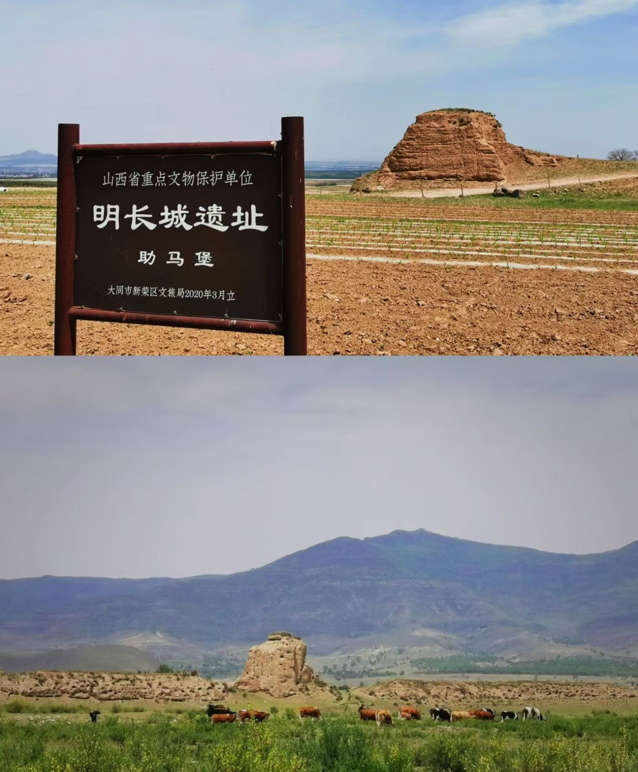 天镇李二口明长城旅行图片 1