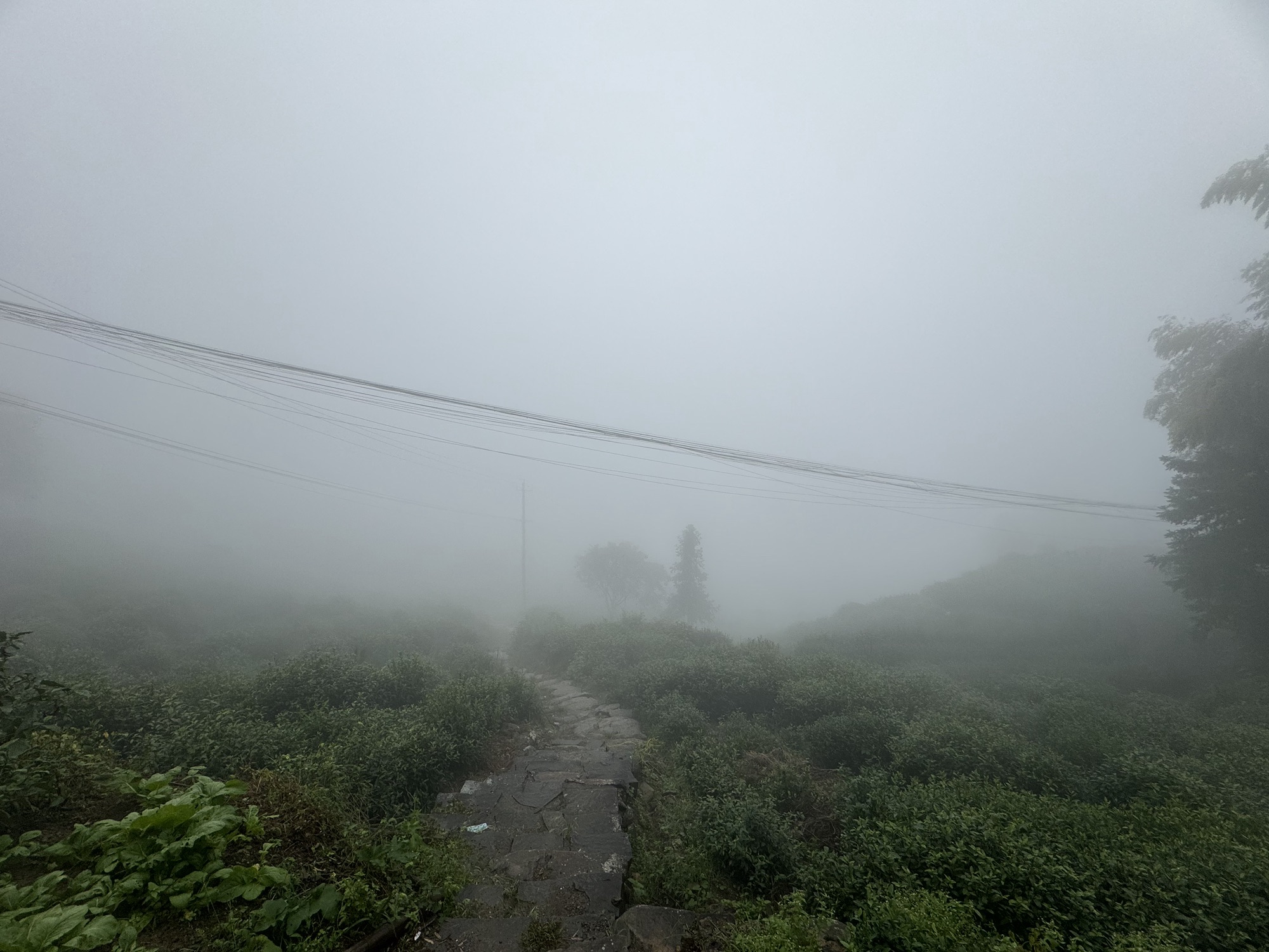 安顶村观景台旅行图片 2